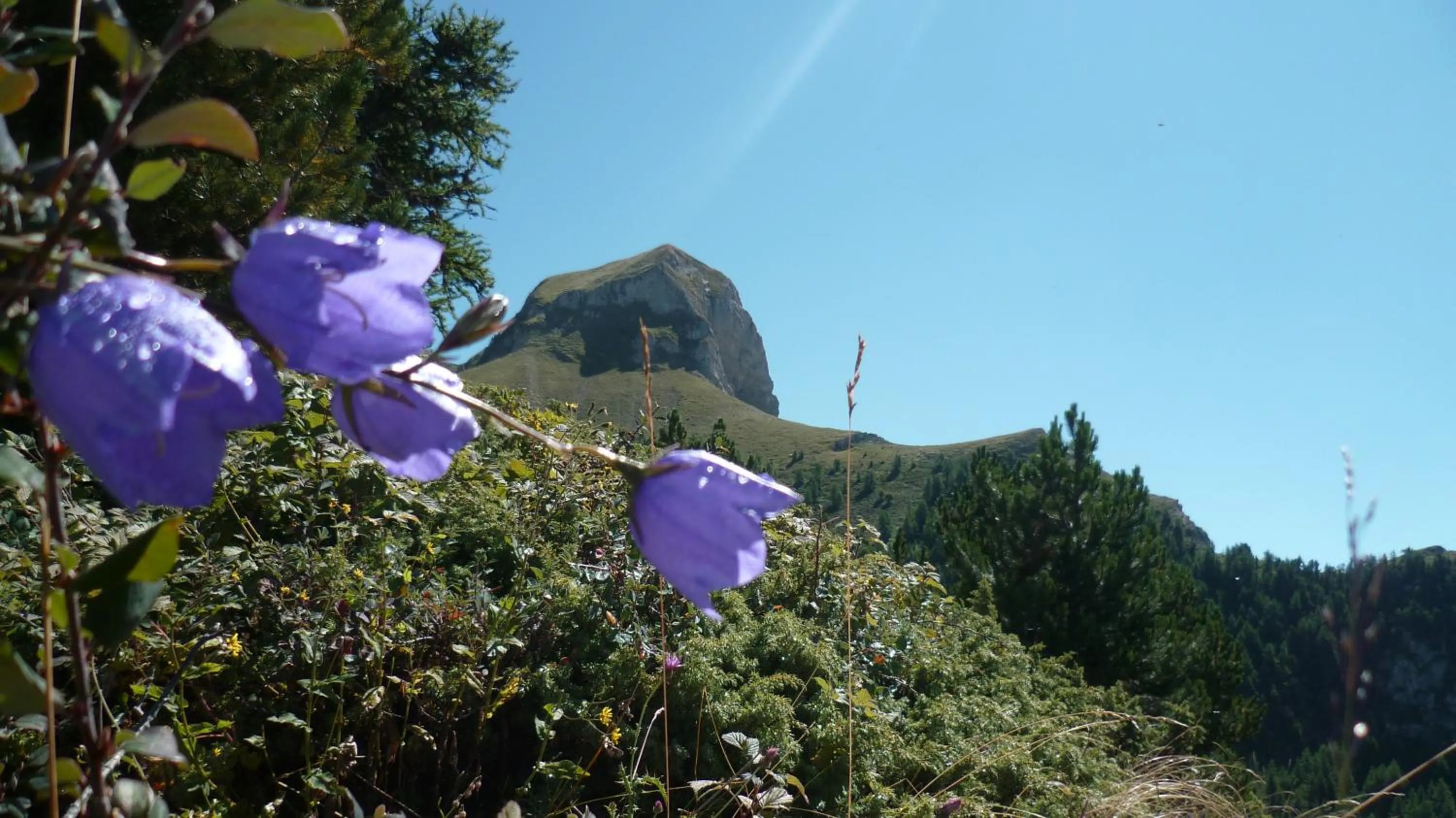 Résidence Les Ecrins