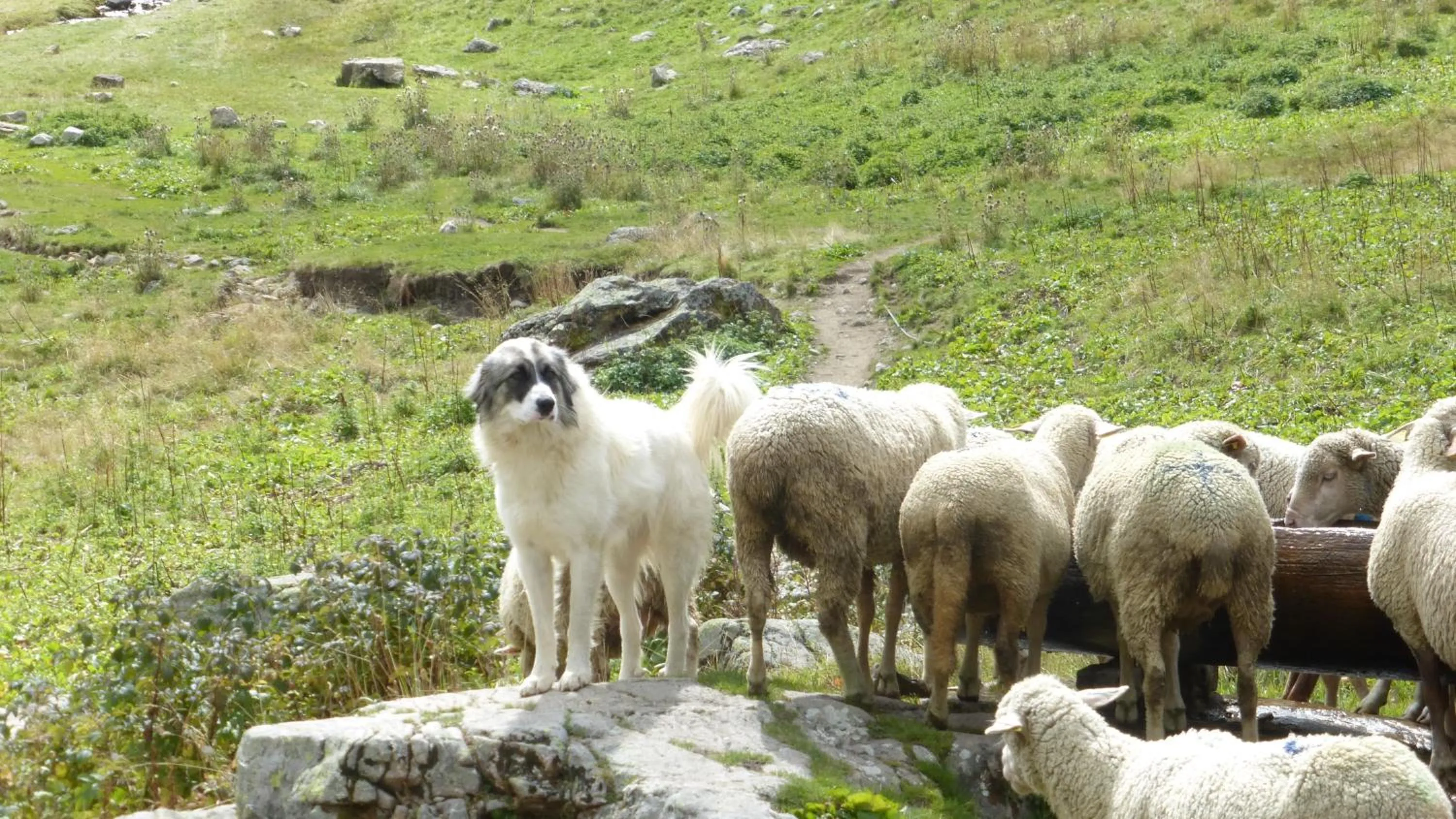 Résidence Les Ecrins