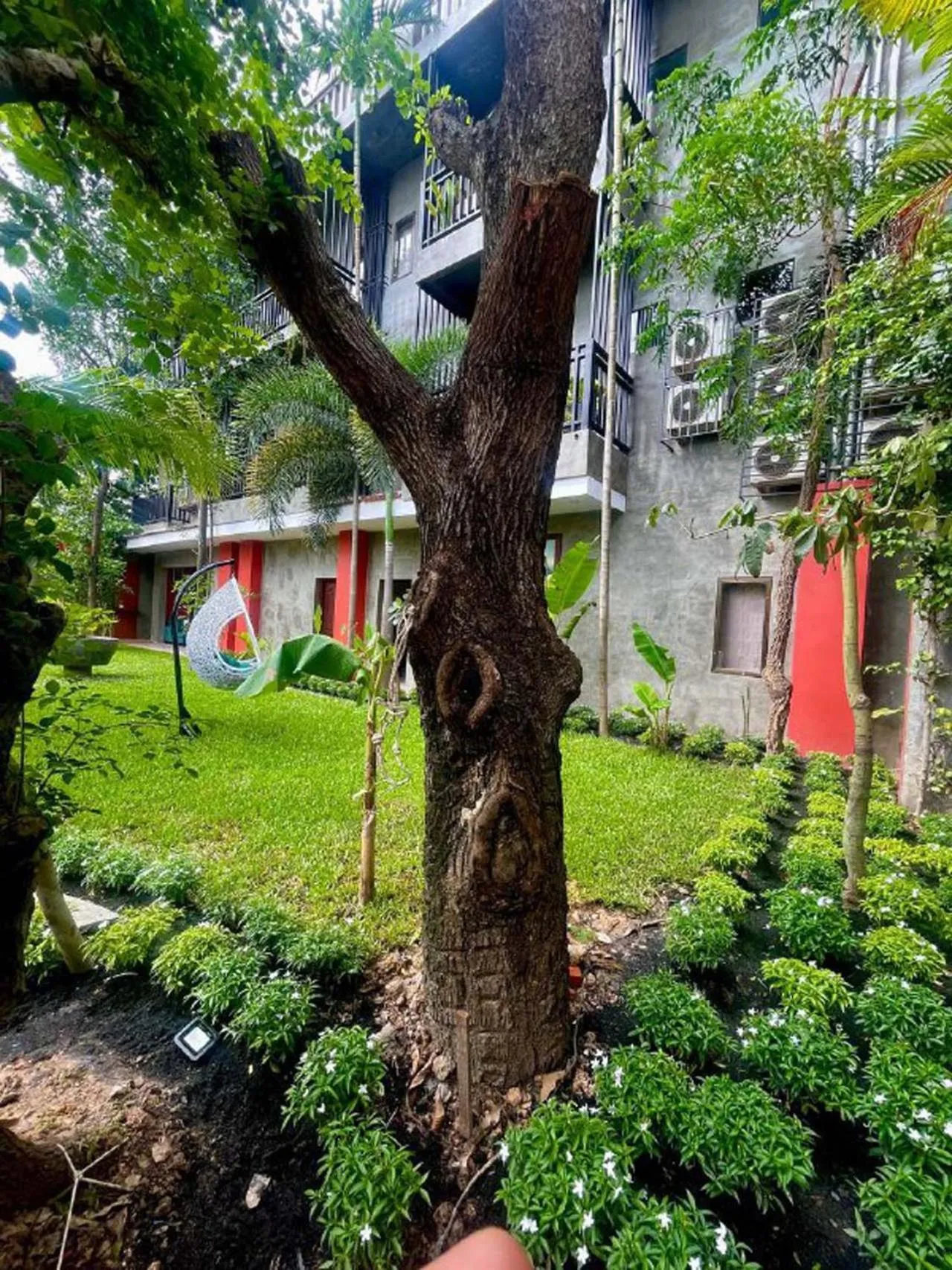 Garden view in Won Residence & Spa