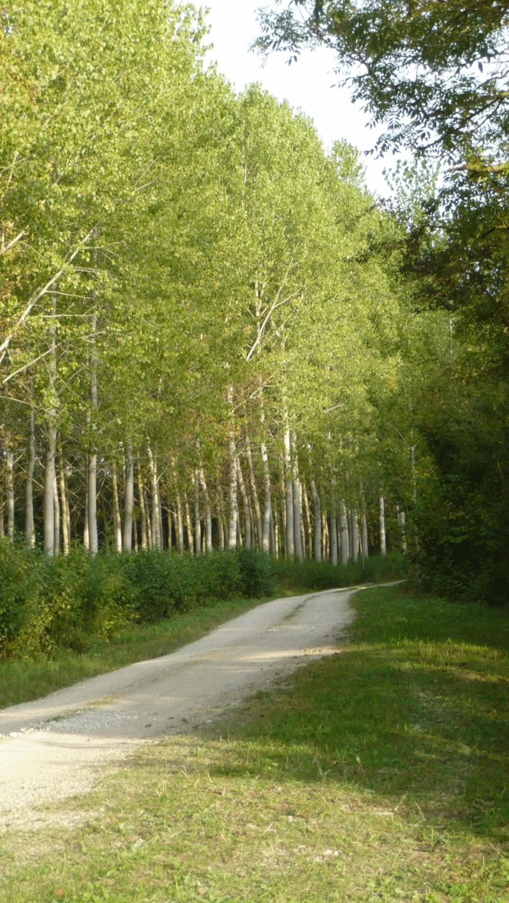 Area and facilities in Beau Rivage