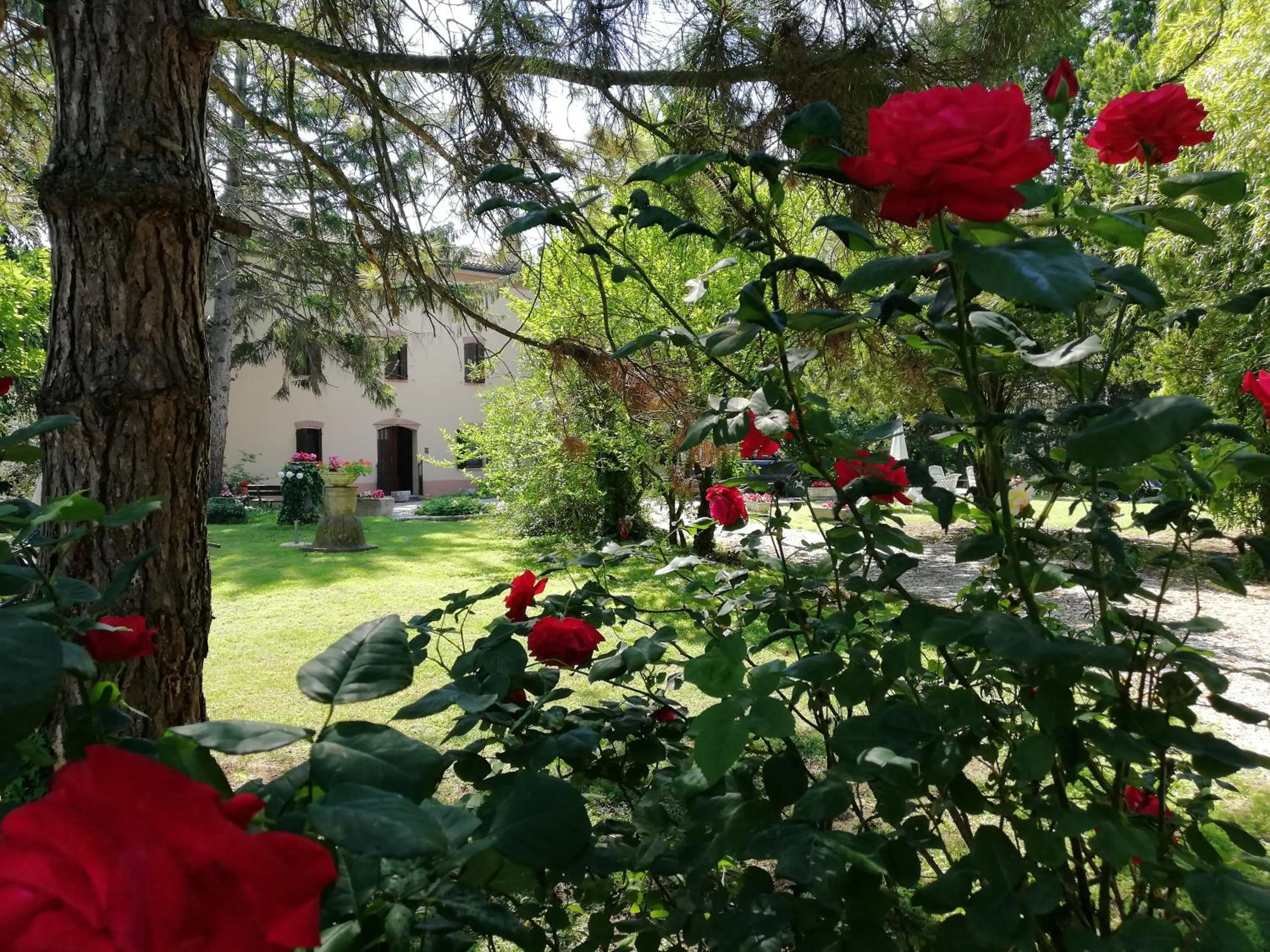 Garden in B&B Casa Manuela