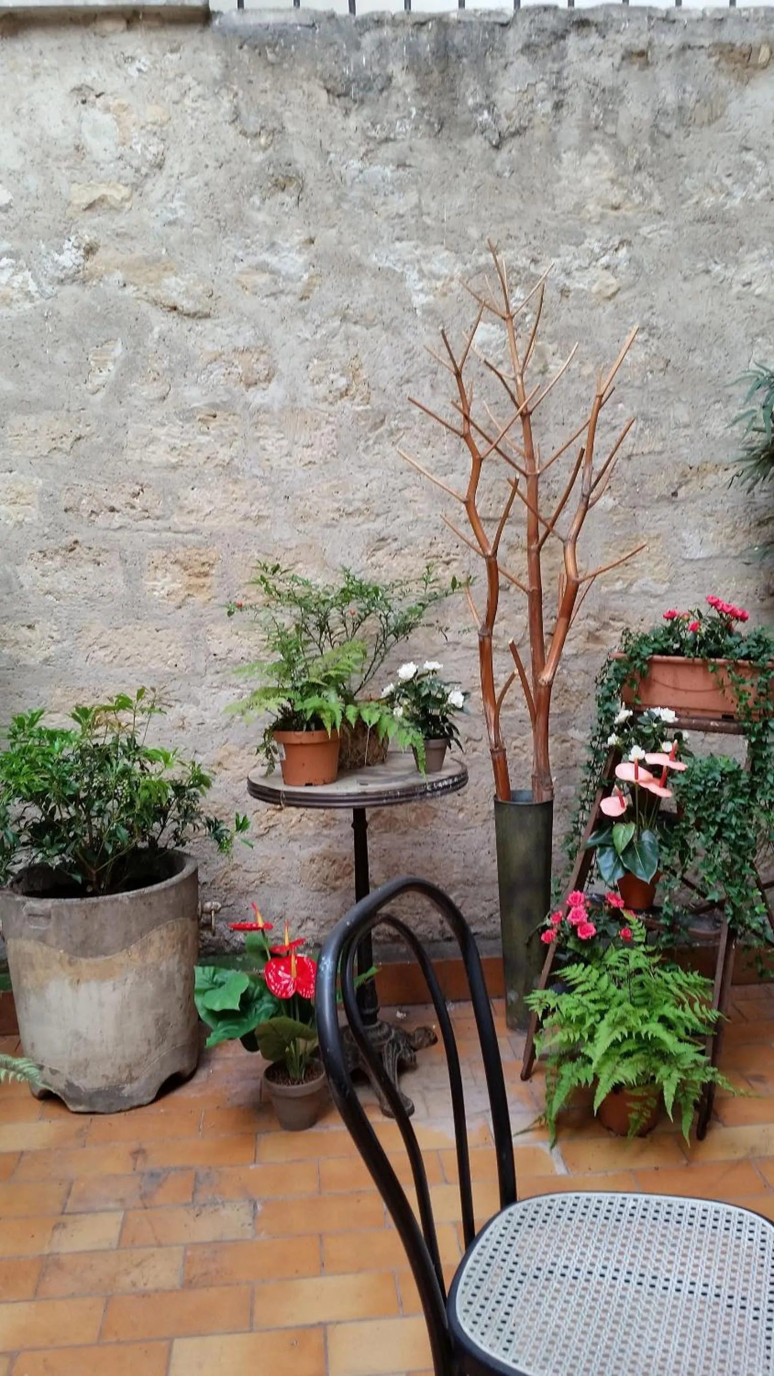 Patio in Hôtel Le Compostelle