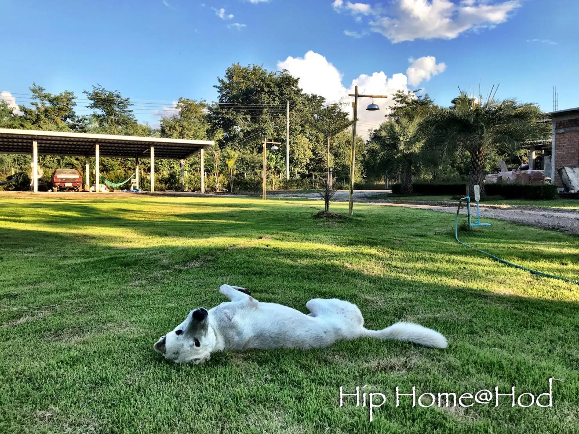 Property building in Hip Home at Hod