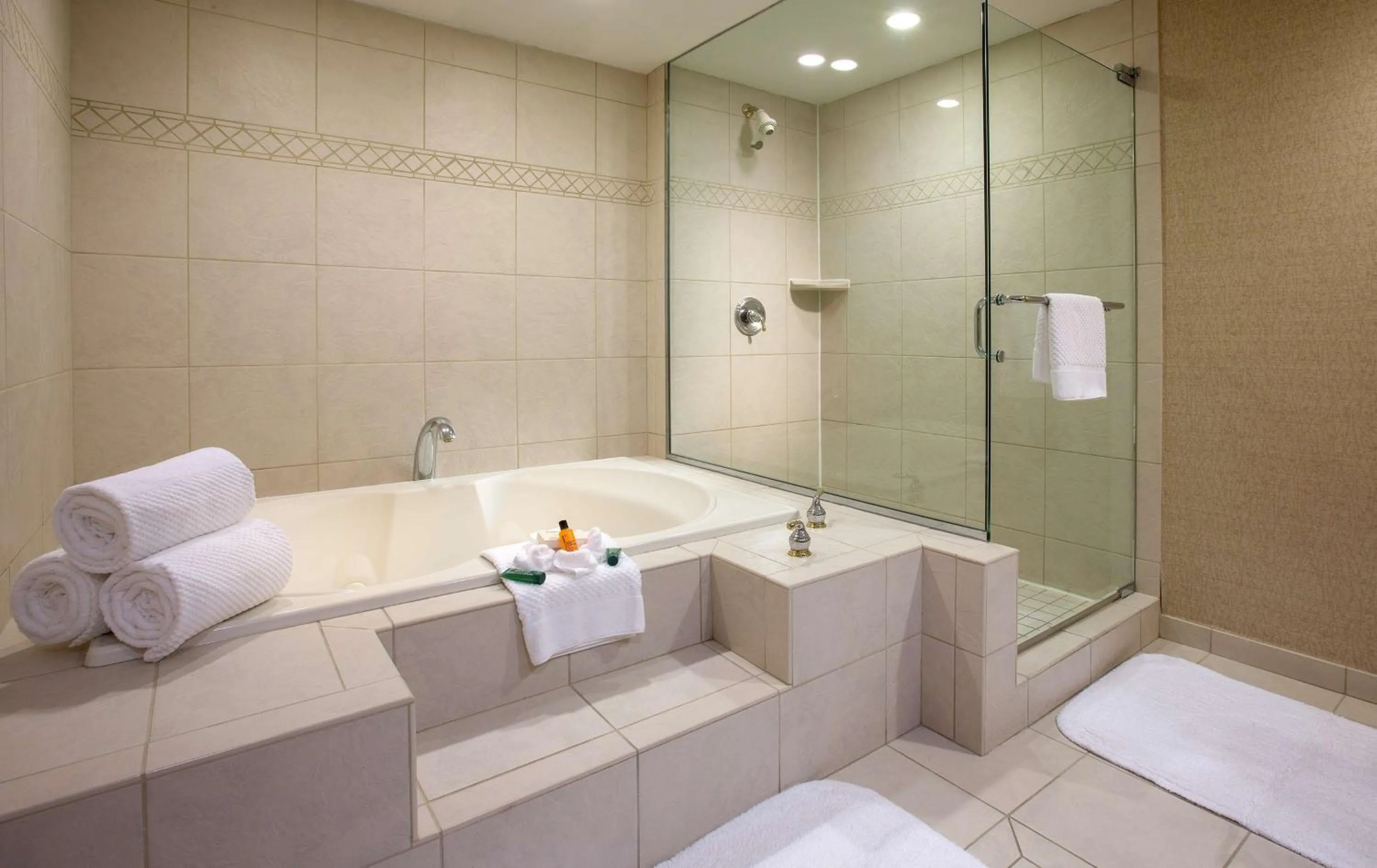 Bathroom in Hilton Chicago/Northbrook