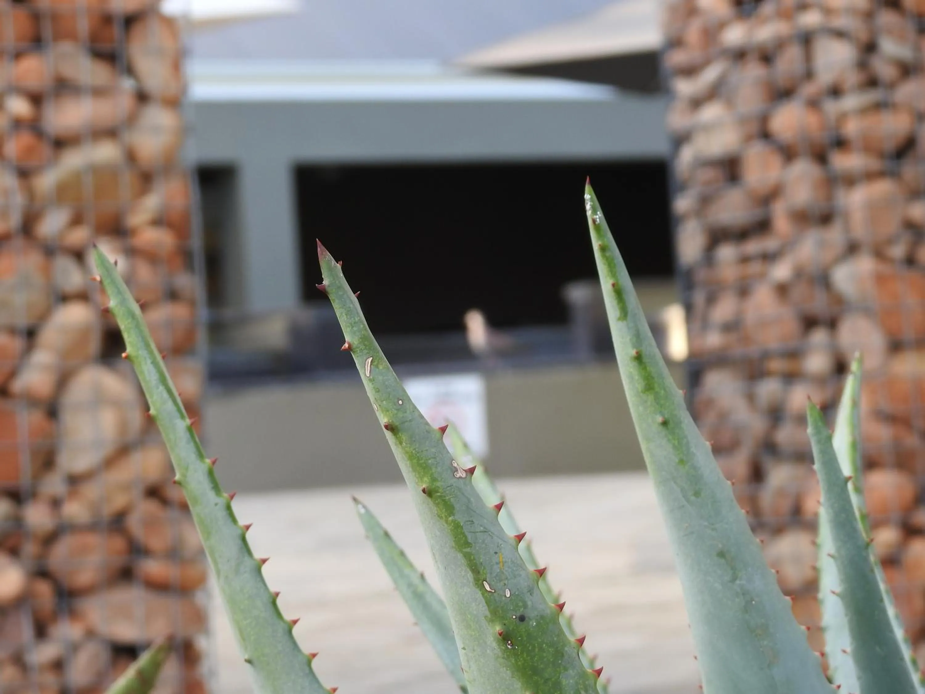 Property building in The Featherbed - Oudtshoorn