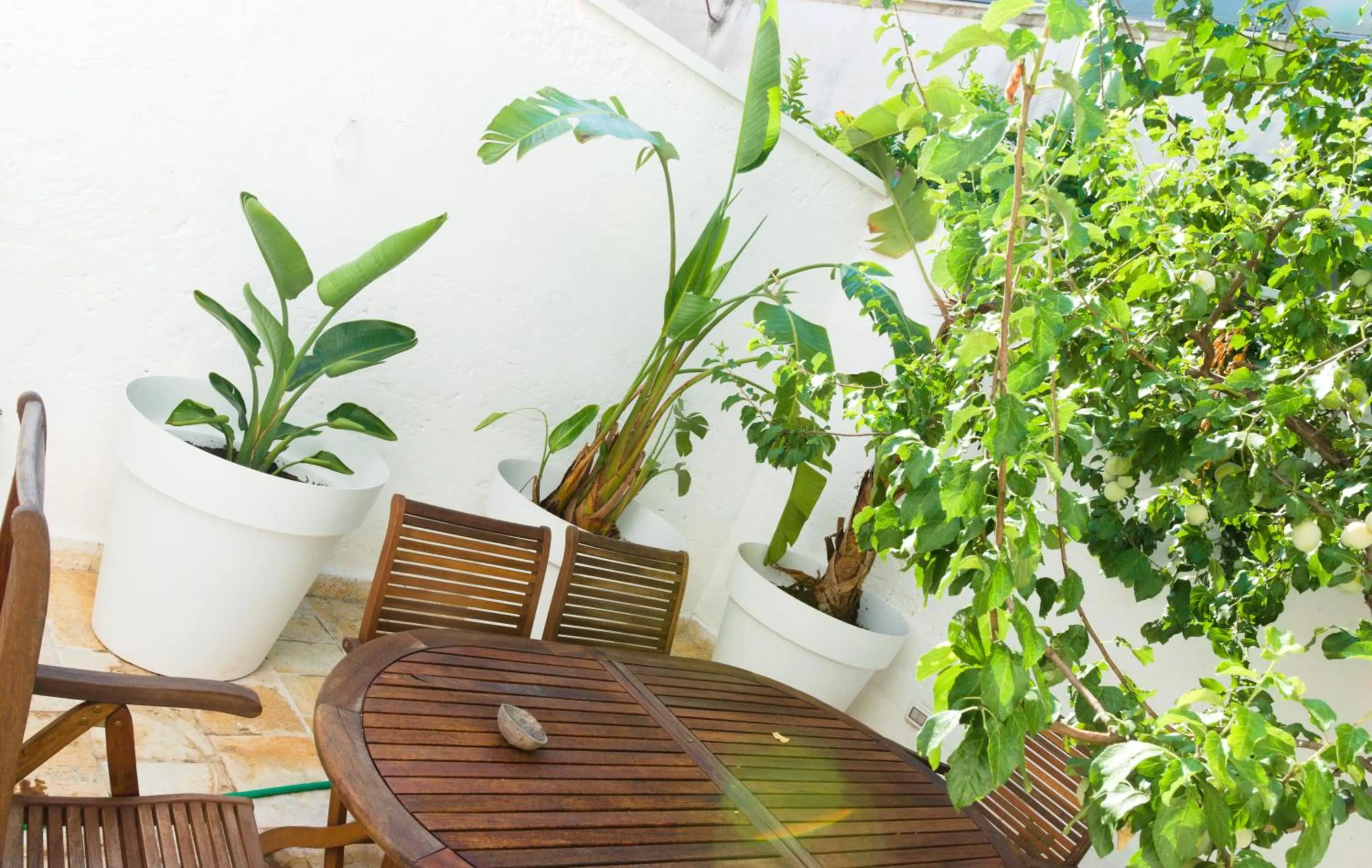 Garden in ArcoSalento