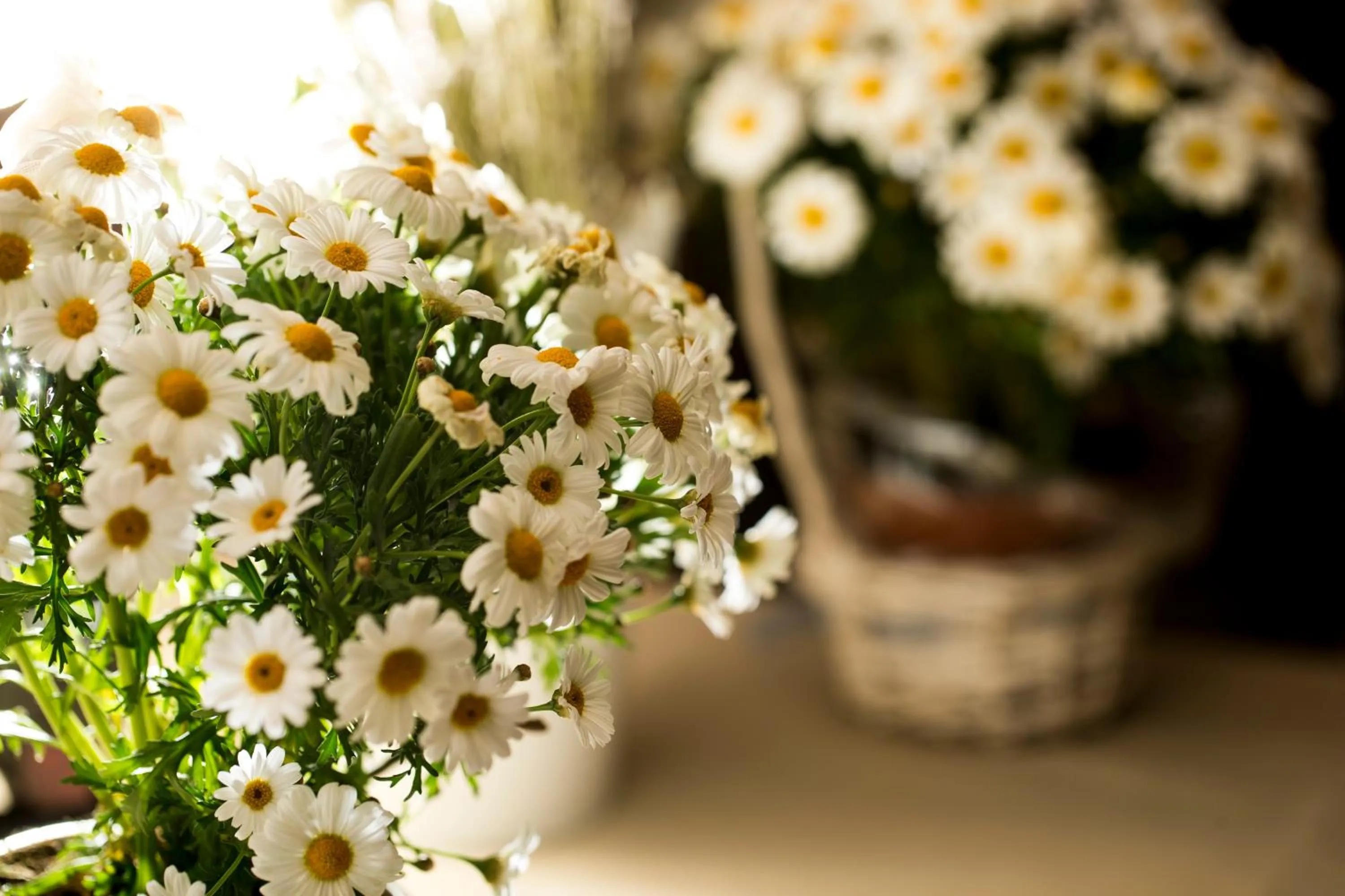 Garden view in Sotto Il Cielo Hotel