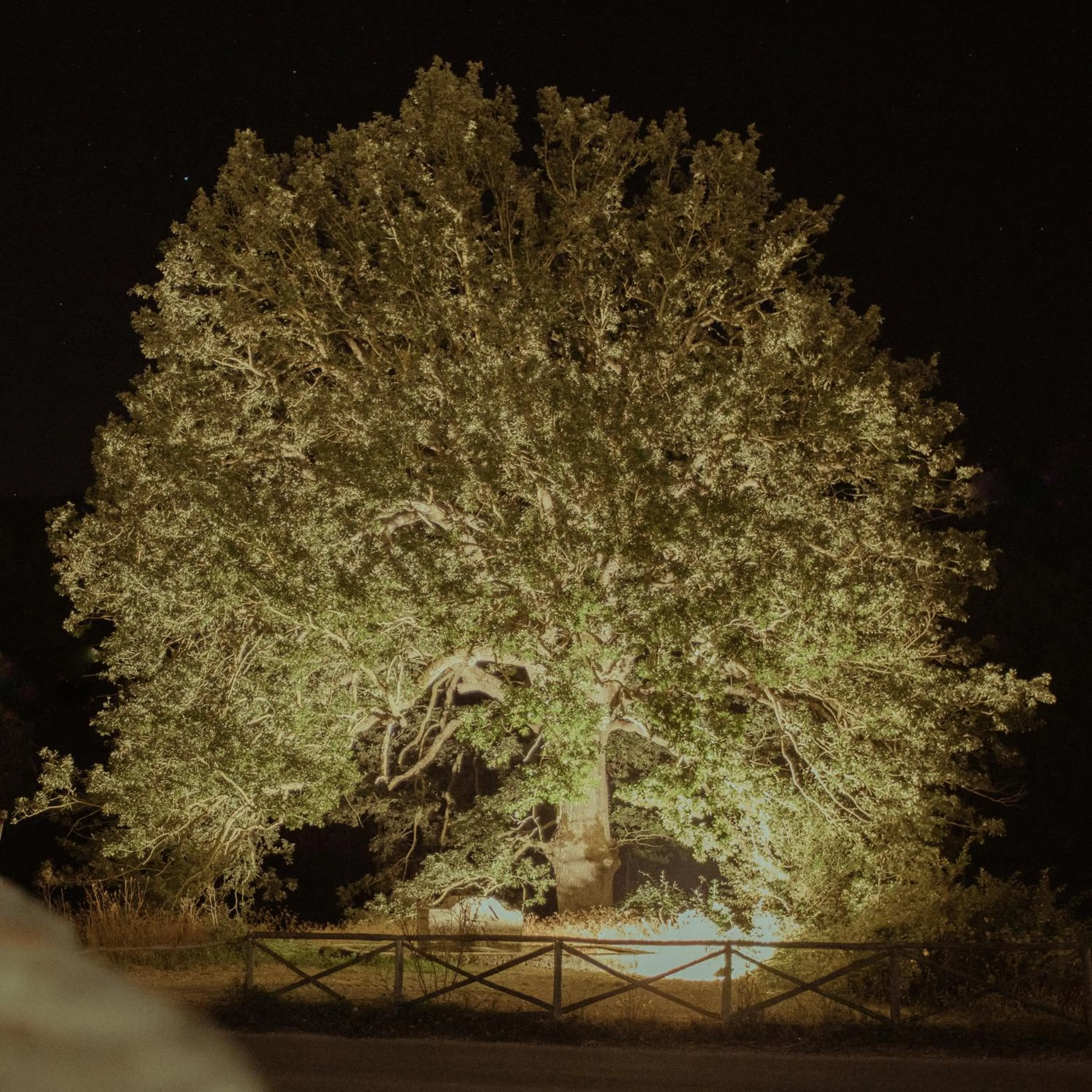 Night in Sotto Il Cielo Hotel