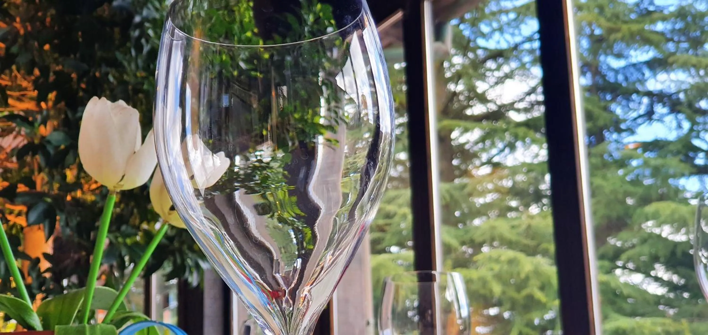 Restaurant/places to eat in Sotto Il Cielo Hotel