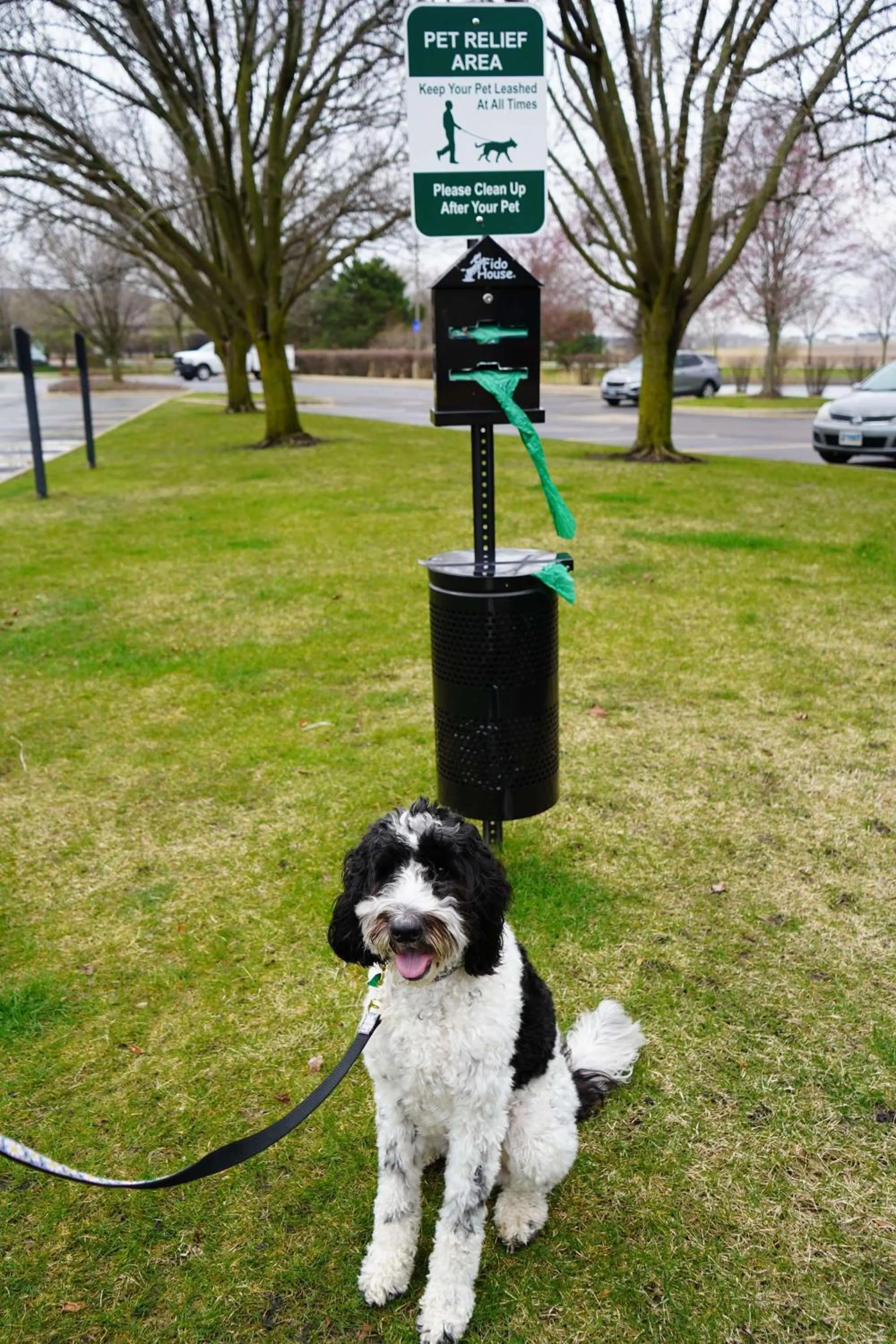 Sports in Hampton Inn & Suites Chicago/Aurora