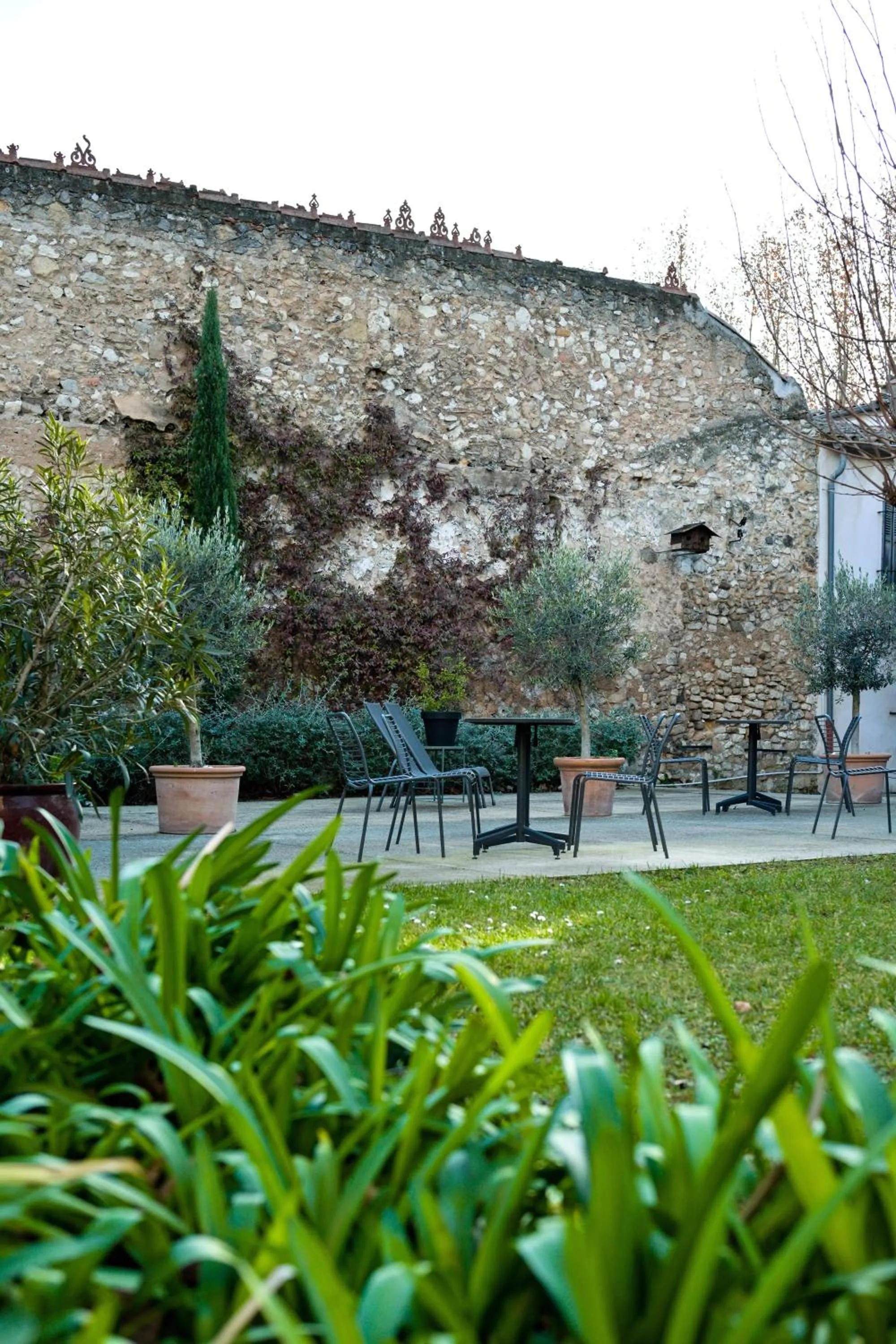 Garden in Hôtel Paul