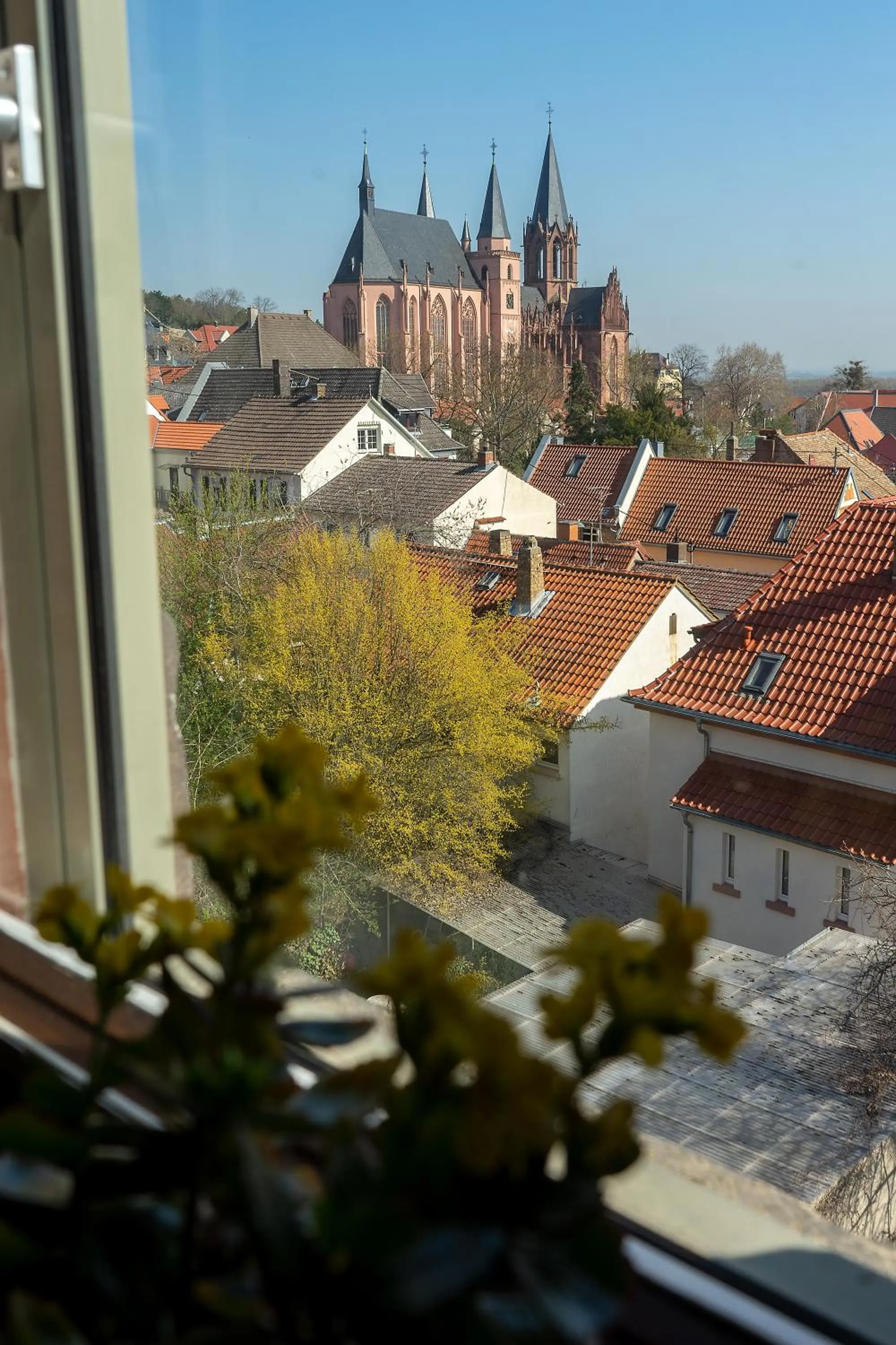 Nearby landmark in Altes Amtsgericht Oppenheim