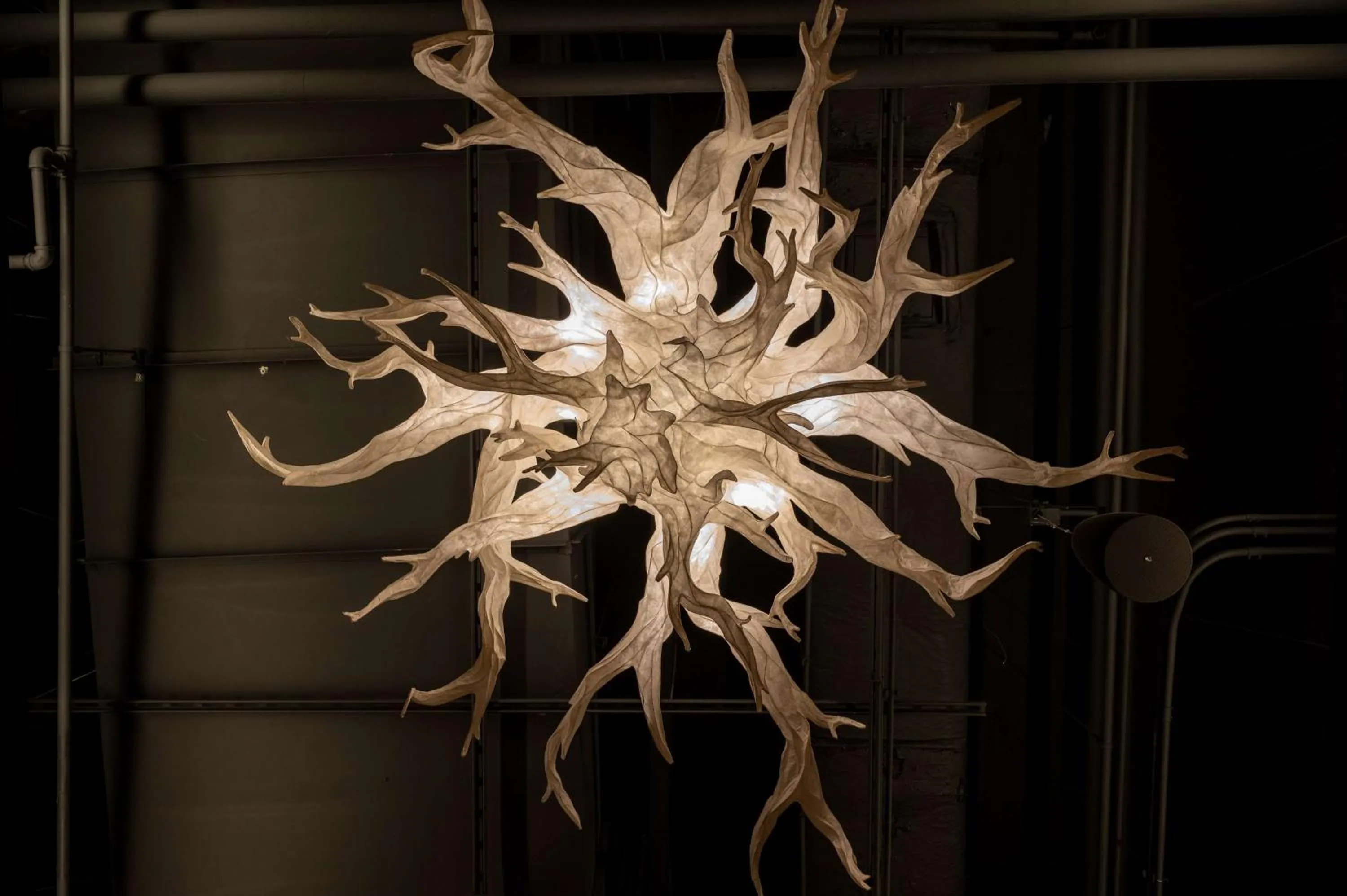 Meeting/conference room in Hilton Chicago O'Hare Airport