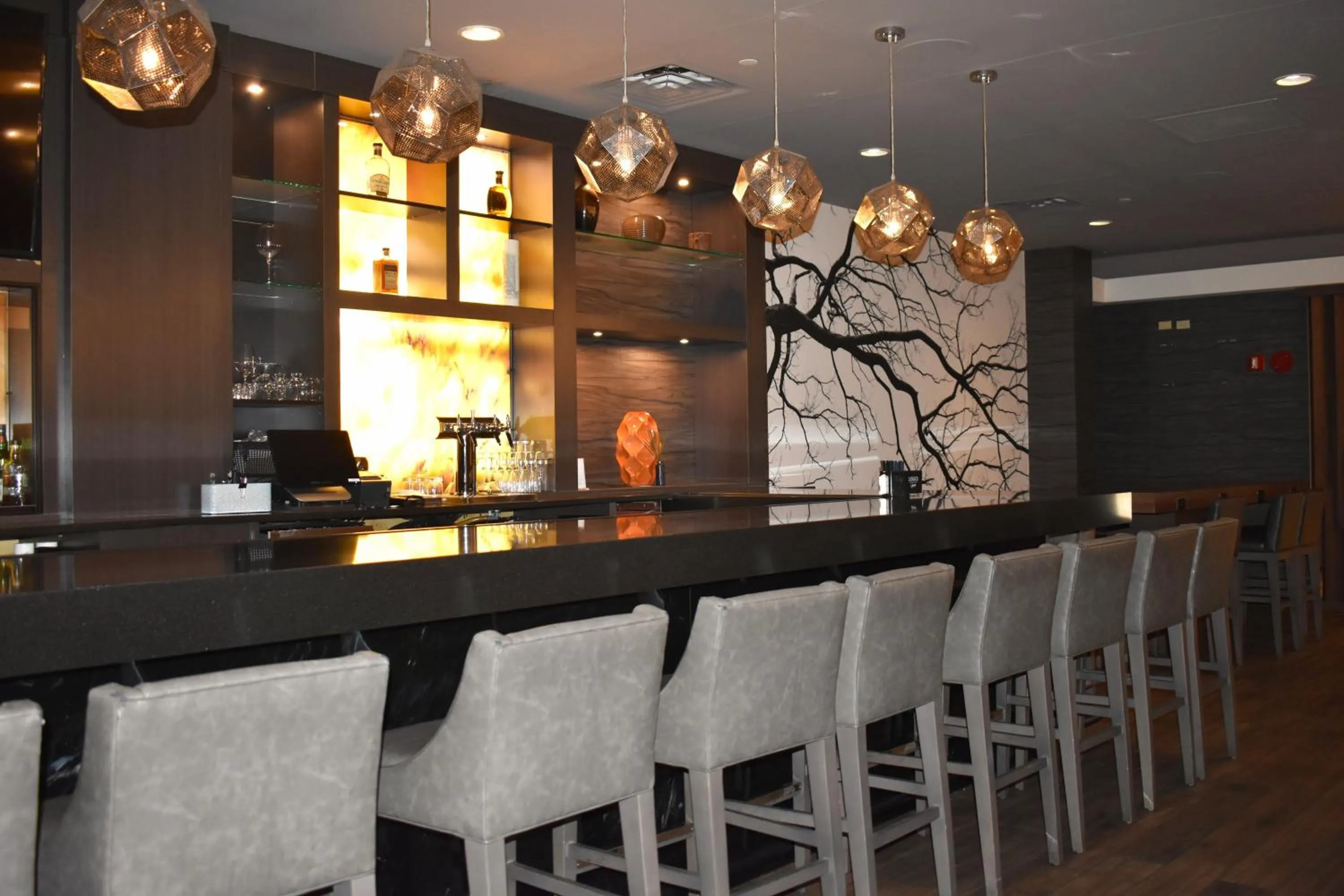 Lounge or bar in DoubleTree by Hilton Chicago - Oak Brook