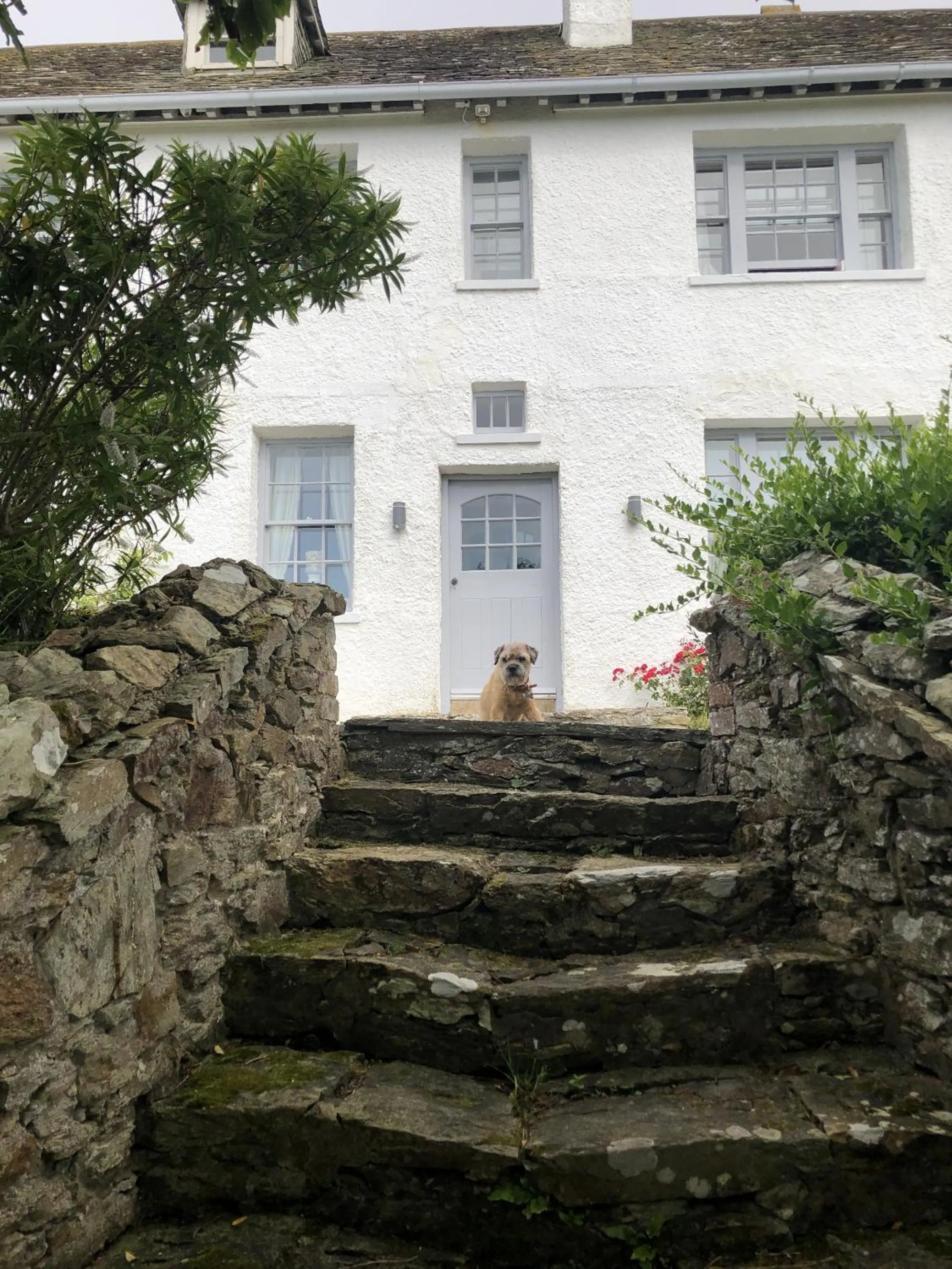 Other in Tan Y Cytiau