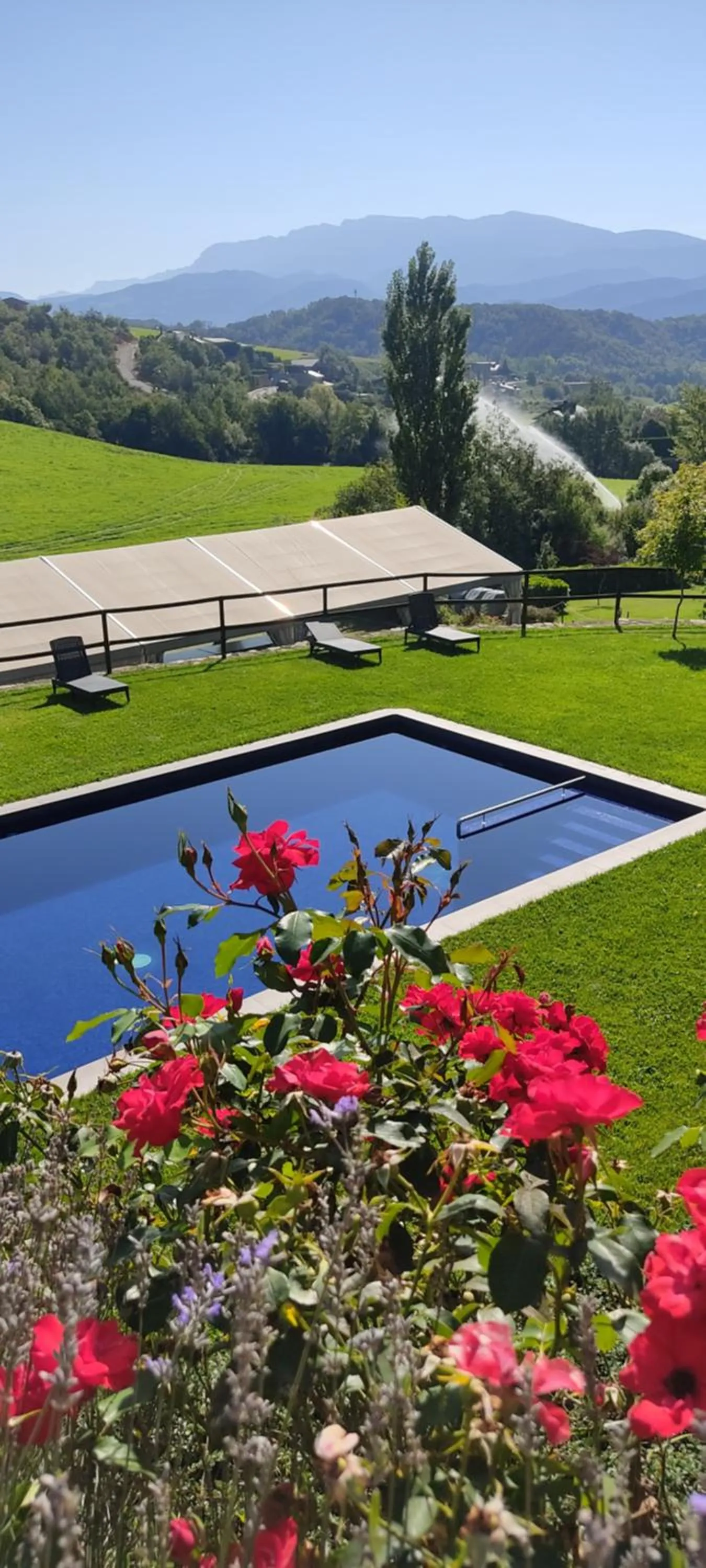 Swimming pool in Mas D'en Roqueta