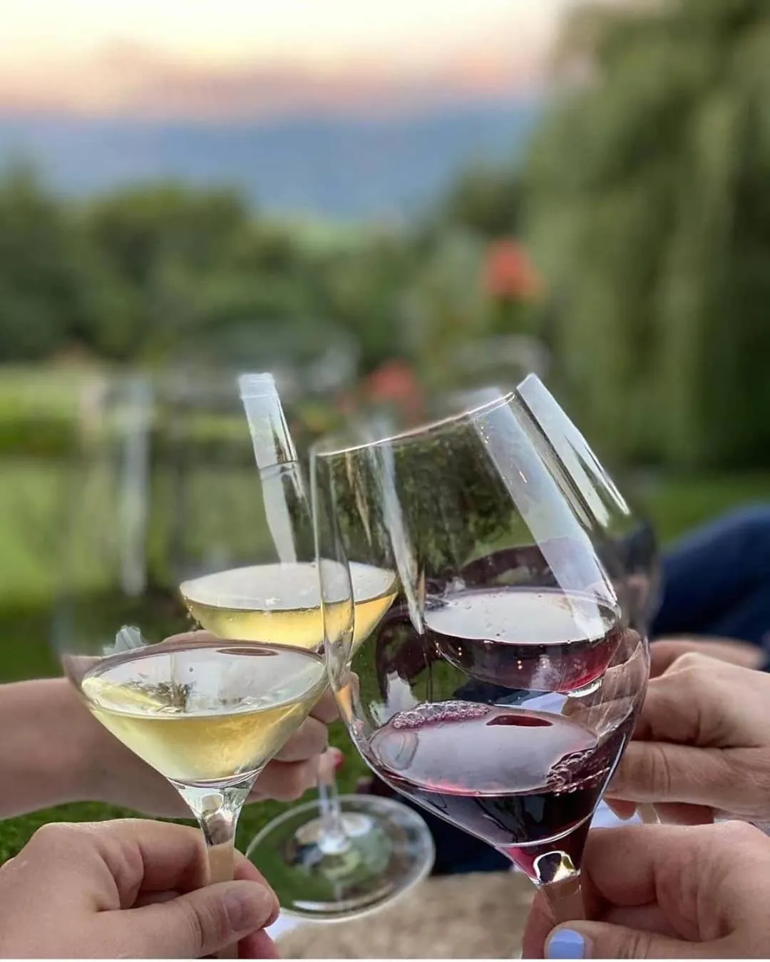 Dinner in Mas D'en Roqueta