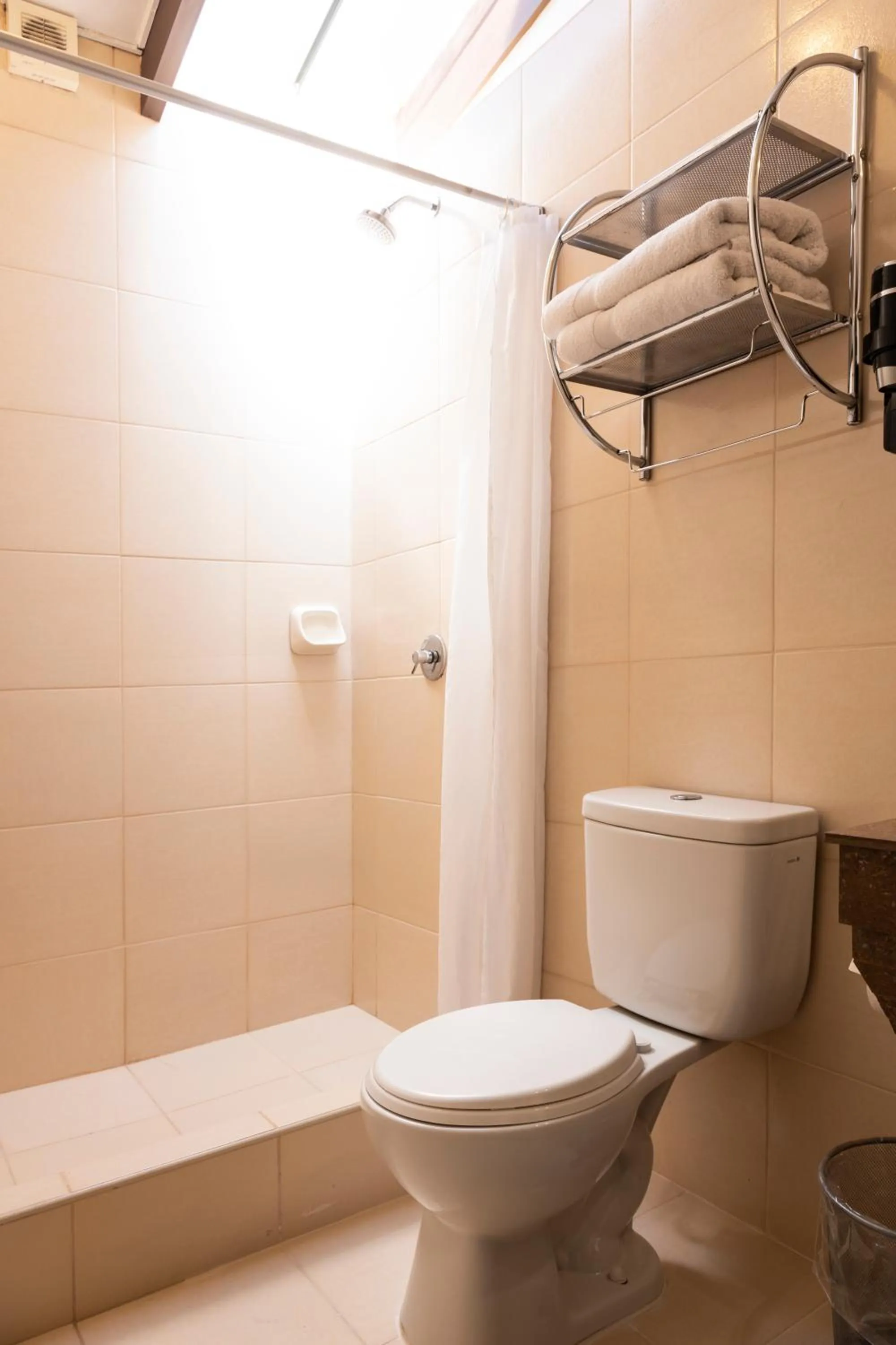 Shower in Hostal & Apartments El Triunfo