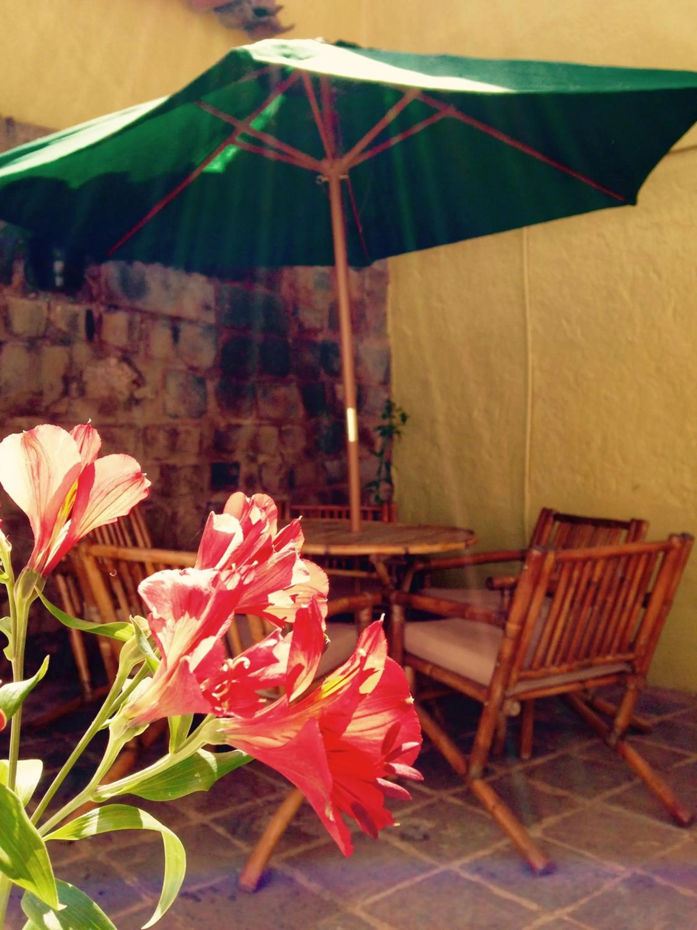 Patio in Hostal & Apartments El Triunfo