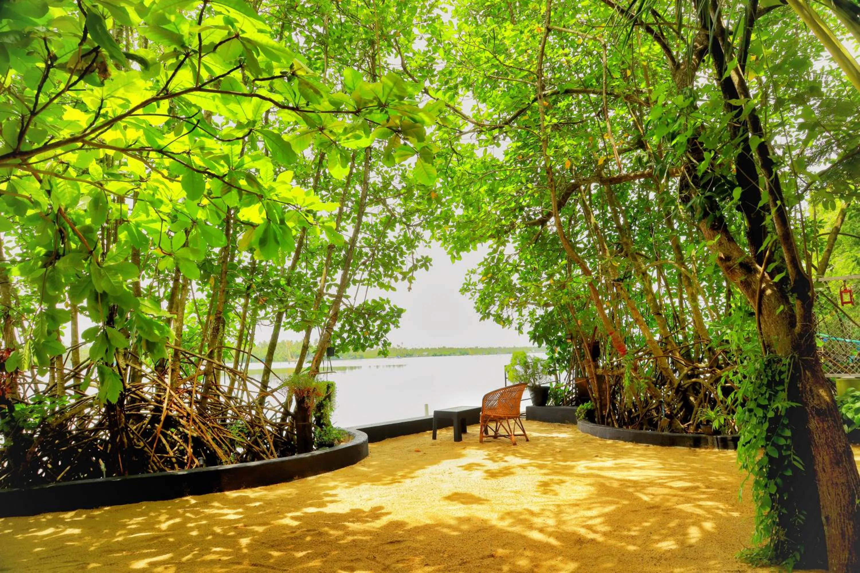 Lakefront Beach Homes