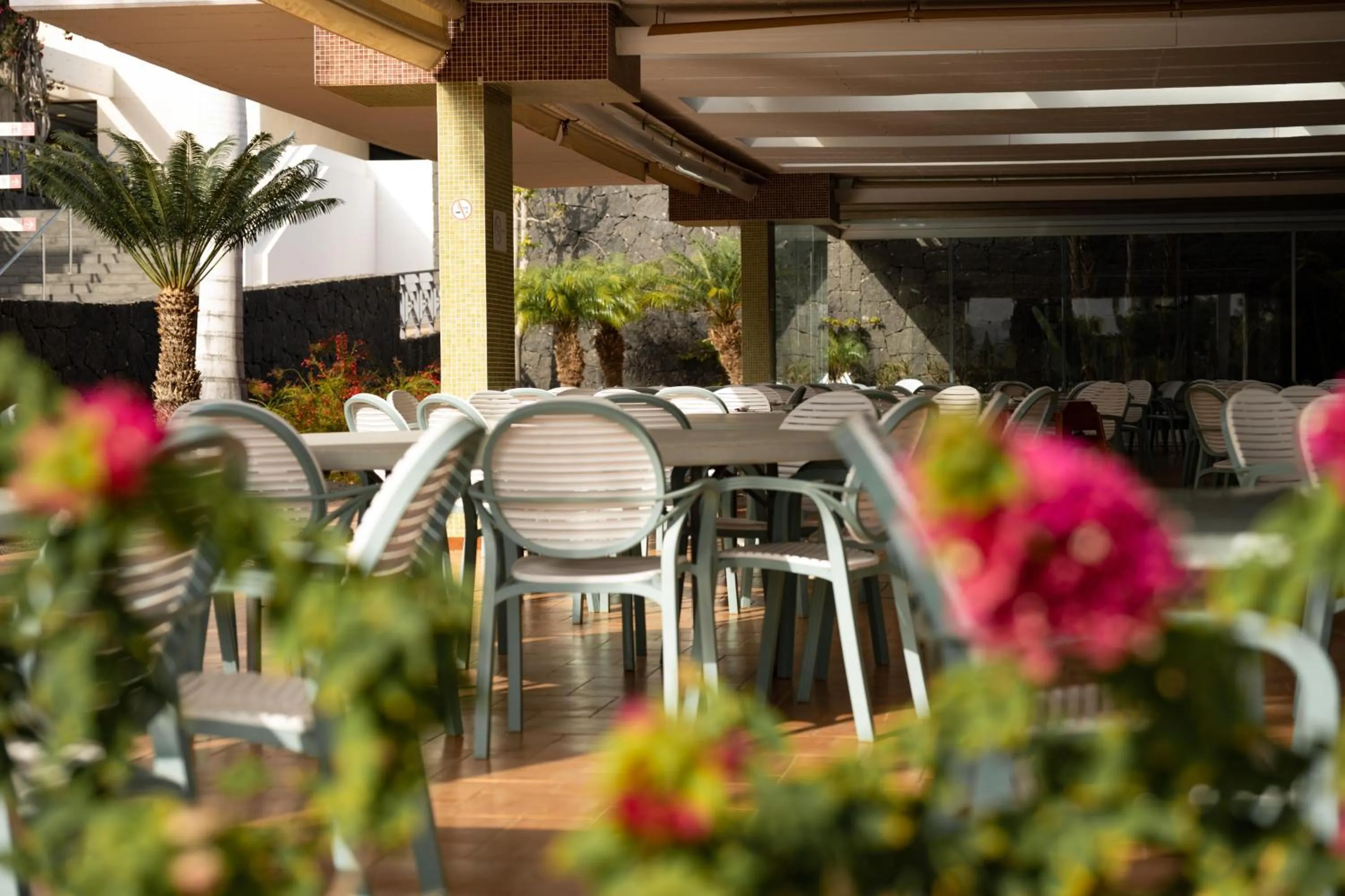 Restaurant/places to eat in Hotel Costa Calero Thalasso & Spa
