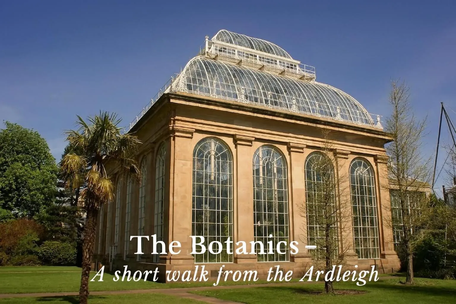 Activities in Ardleigh House