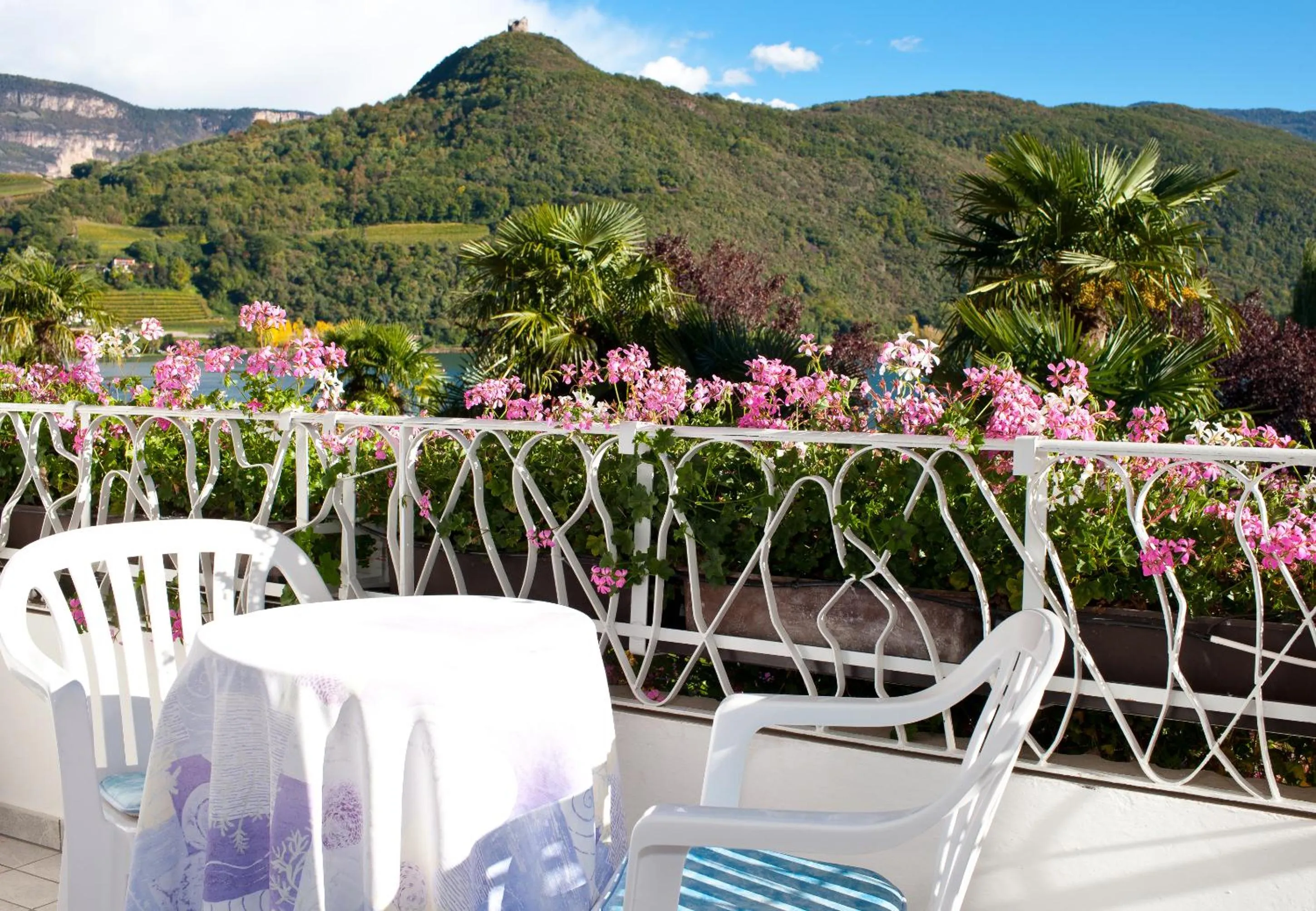 Balcony/Terrace in Seegarten