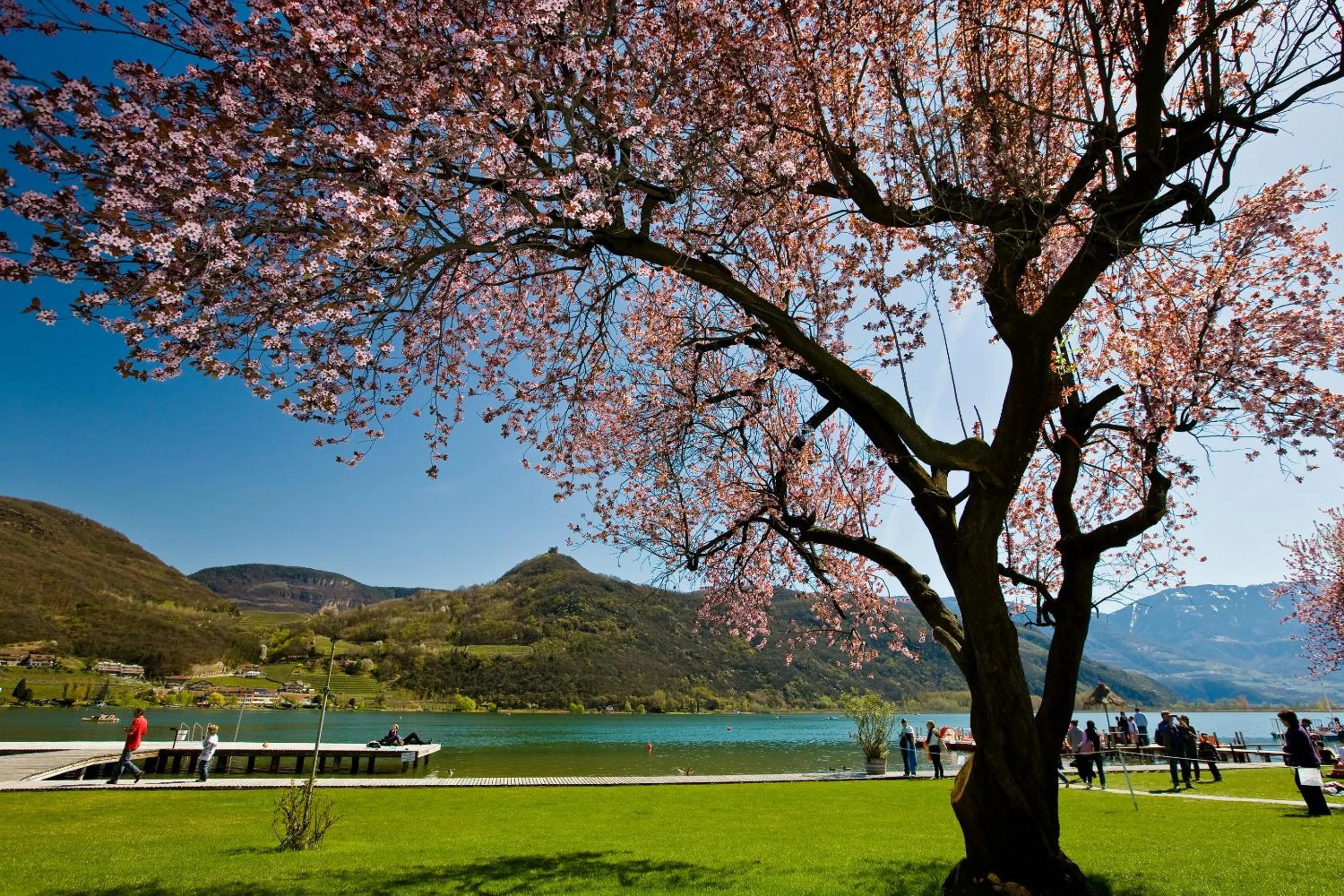 View (from property/room) in Seegarten