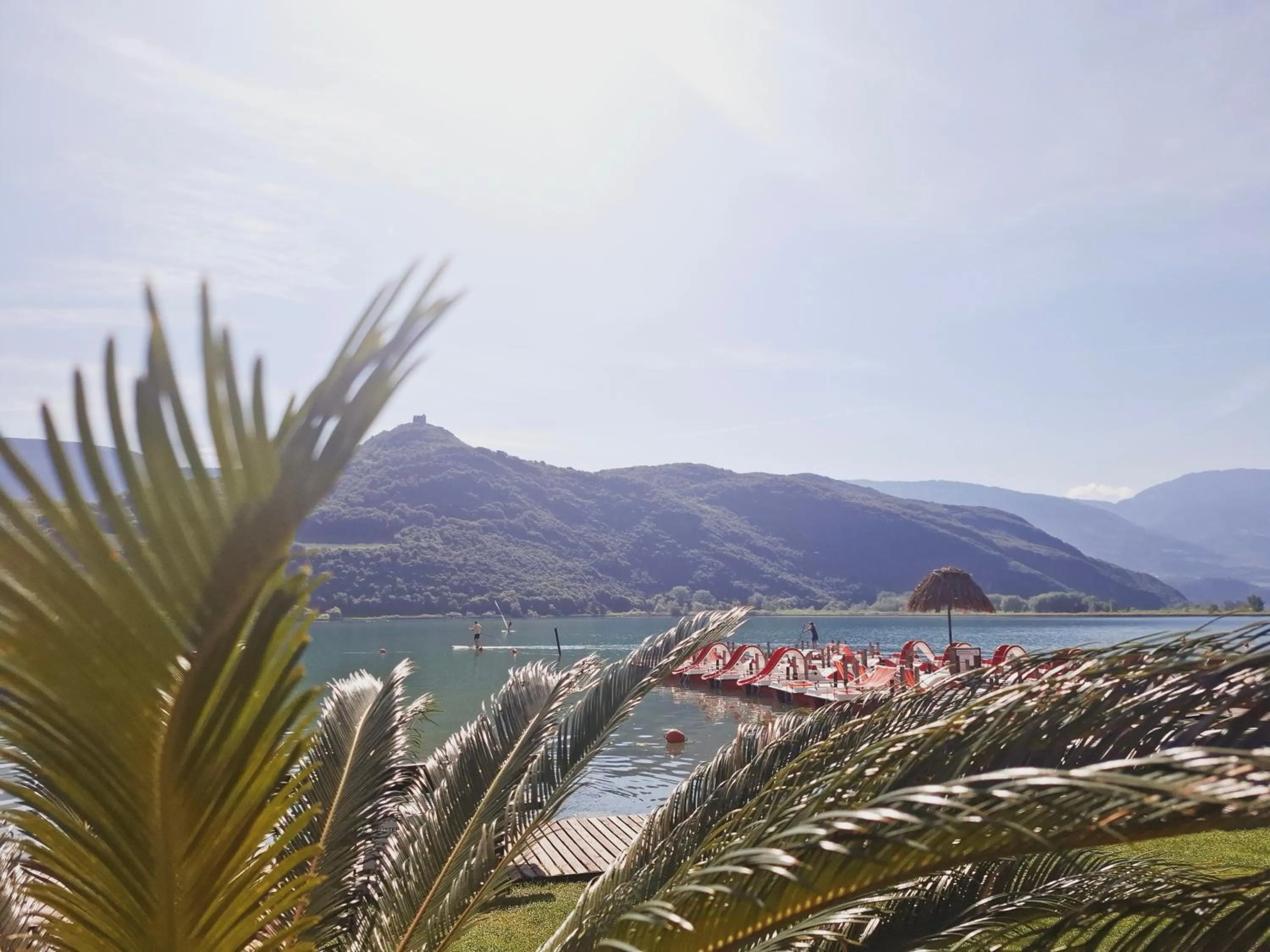 Lake view in Seegarten