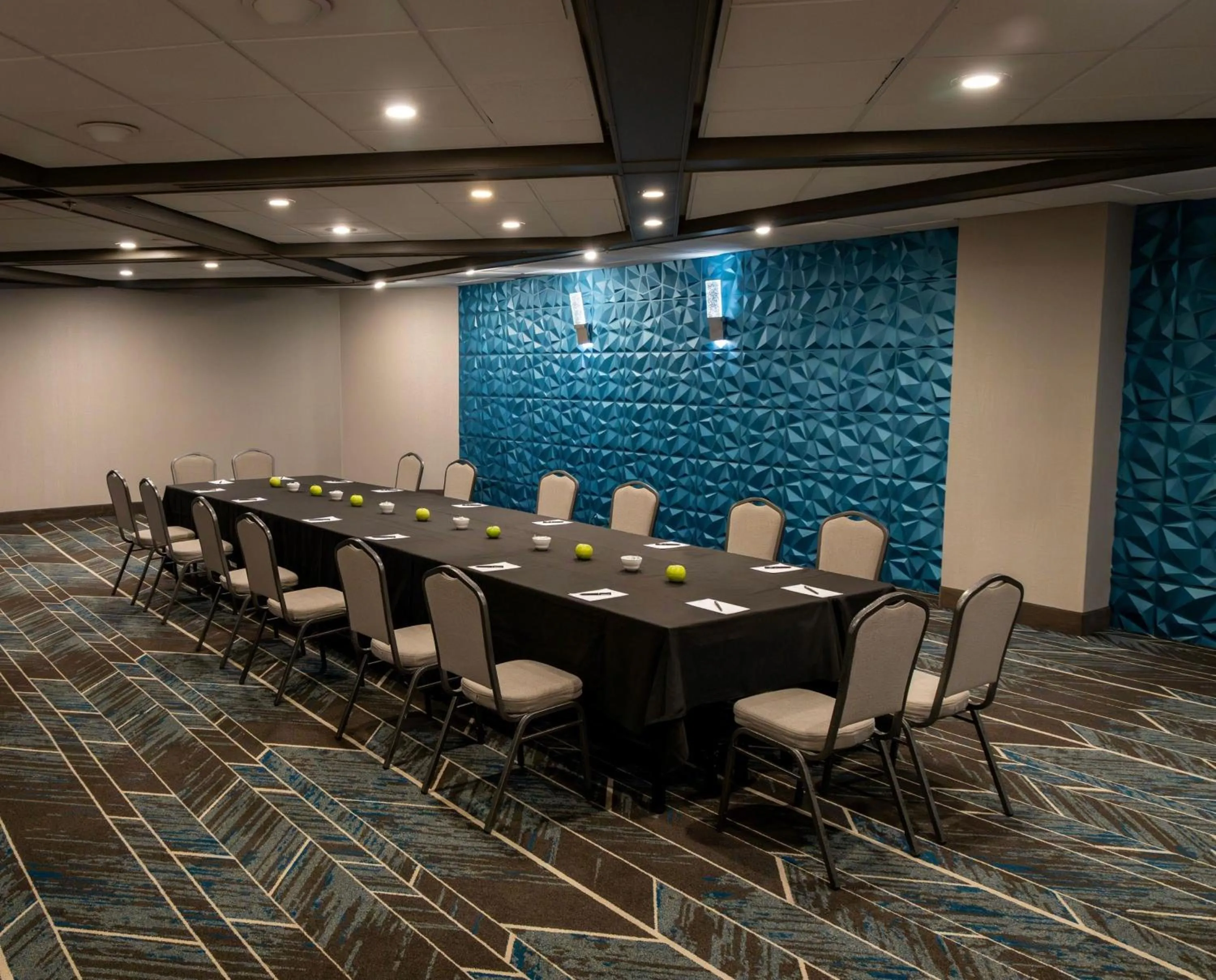 Meeting/conference room in Embassy Suites by Hilton Chicago Schaumburg Woodfield