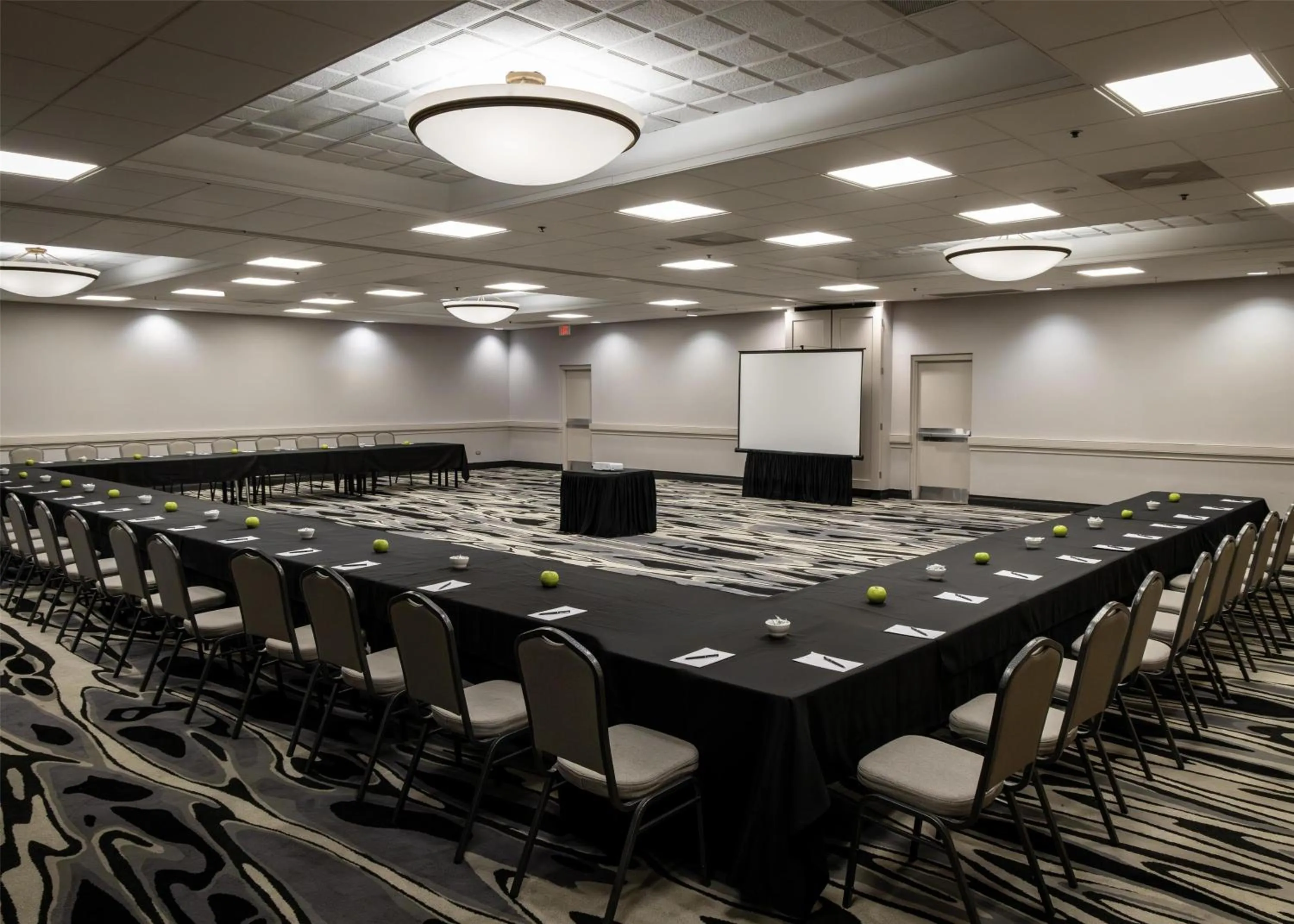 Meeting/conference room in Embassy Suites by Hilton Chicago Schaumburg Woodfield