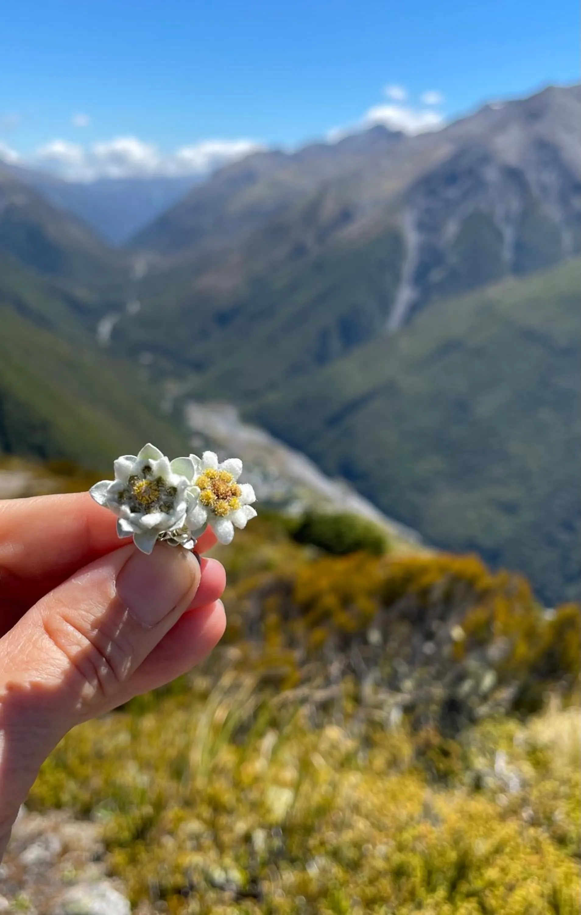 Mountain view in Arthur's Pass Motel & Lodge