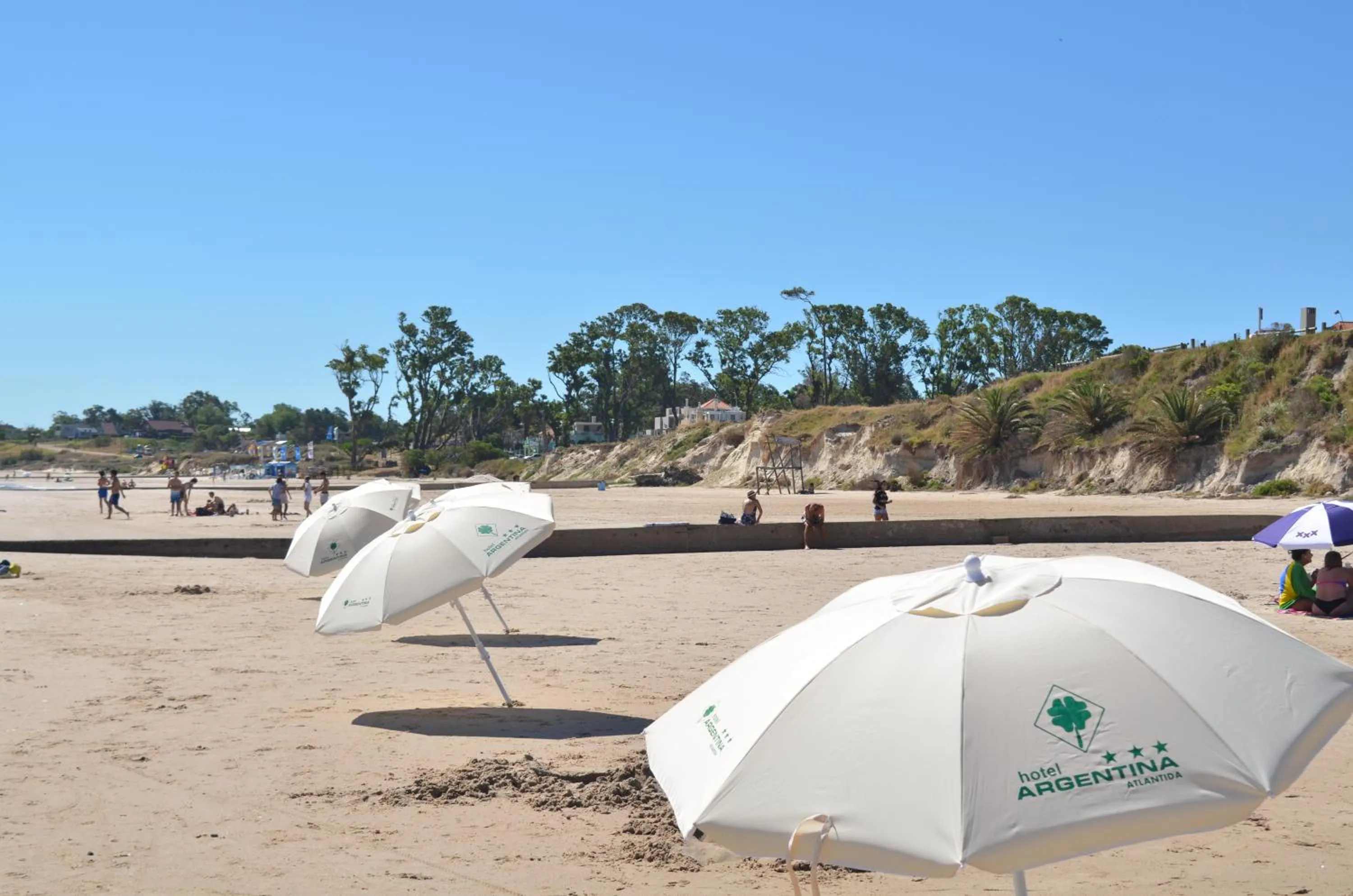 Natural landscape in Hotel Argentina