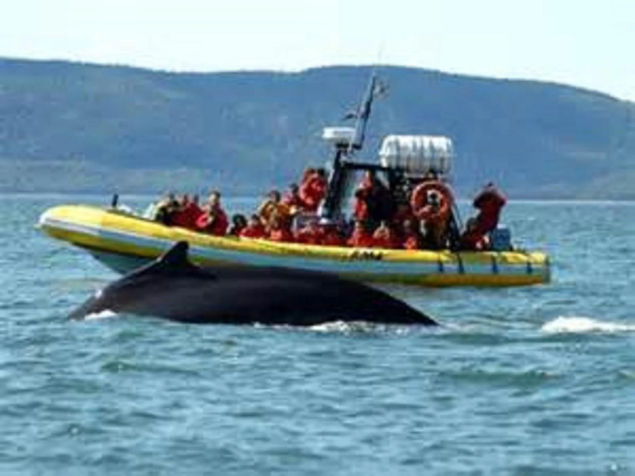 Activities in Hôtel Sous la Croix 152725