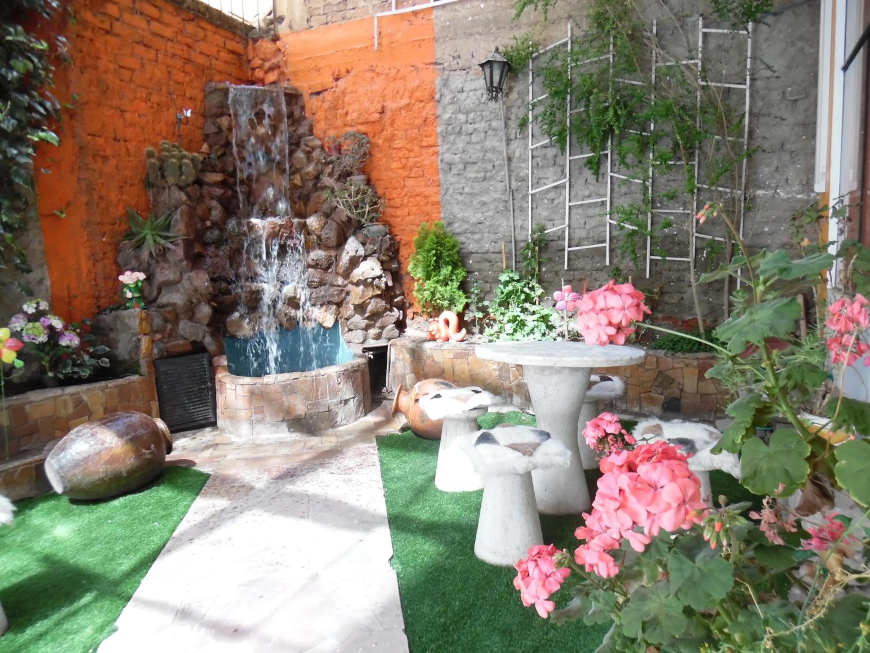 Restaurant/places to eat in Hotel Puno Terra