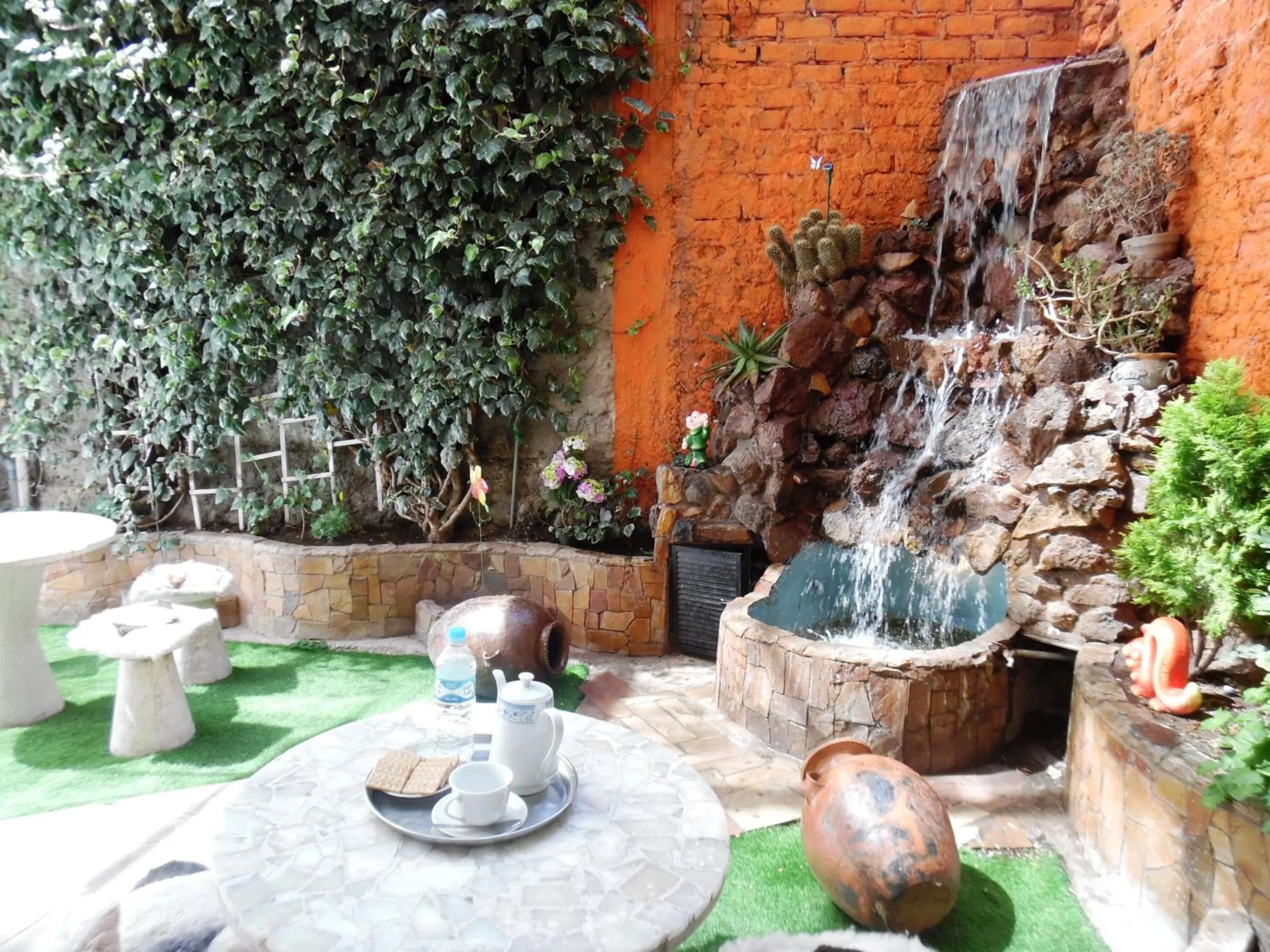 Garden in Hotel Puno Terra