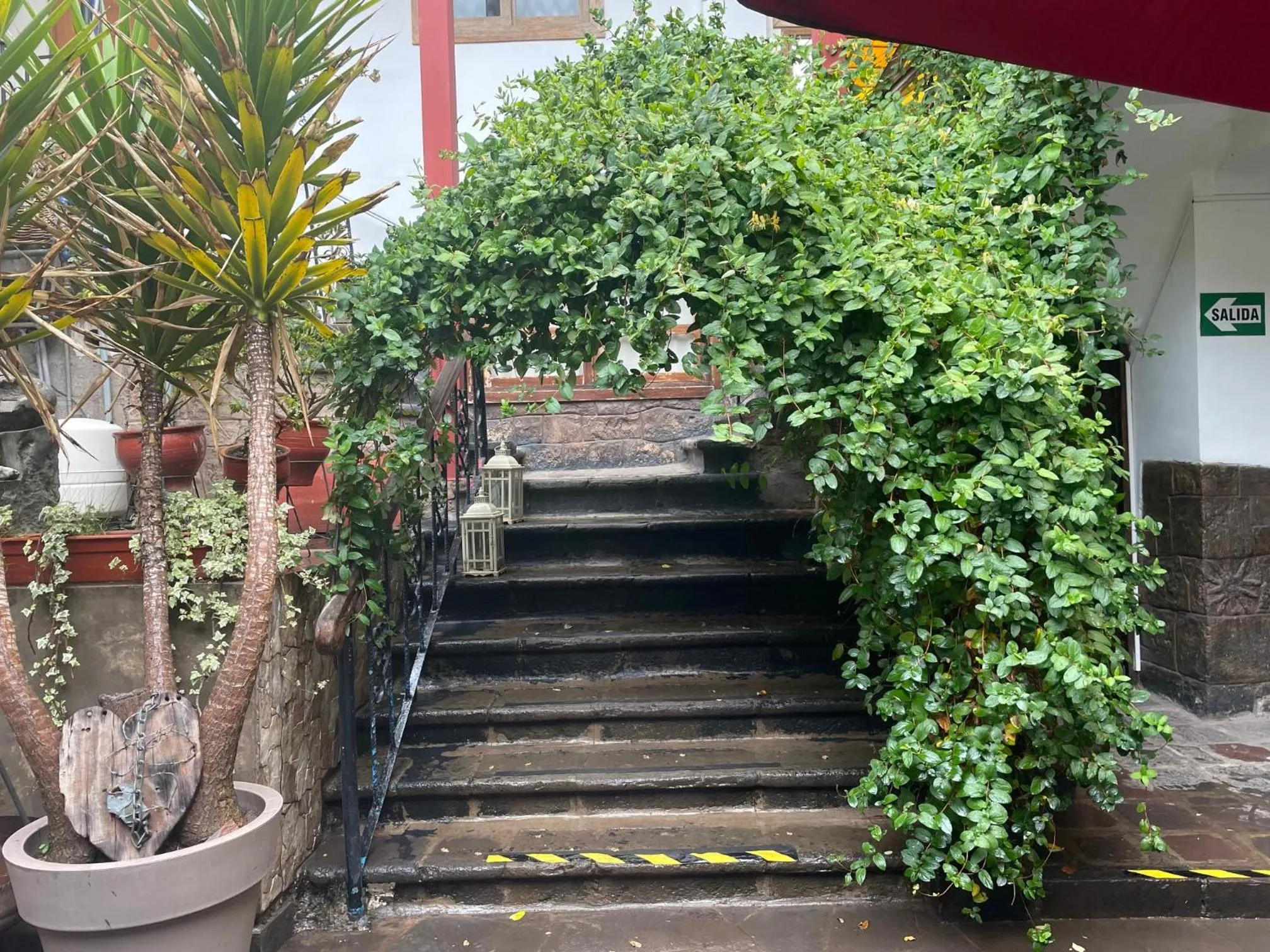 Garden in Hotel Oblitas Plaza de Armas Cusco