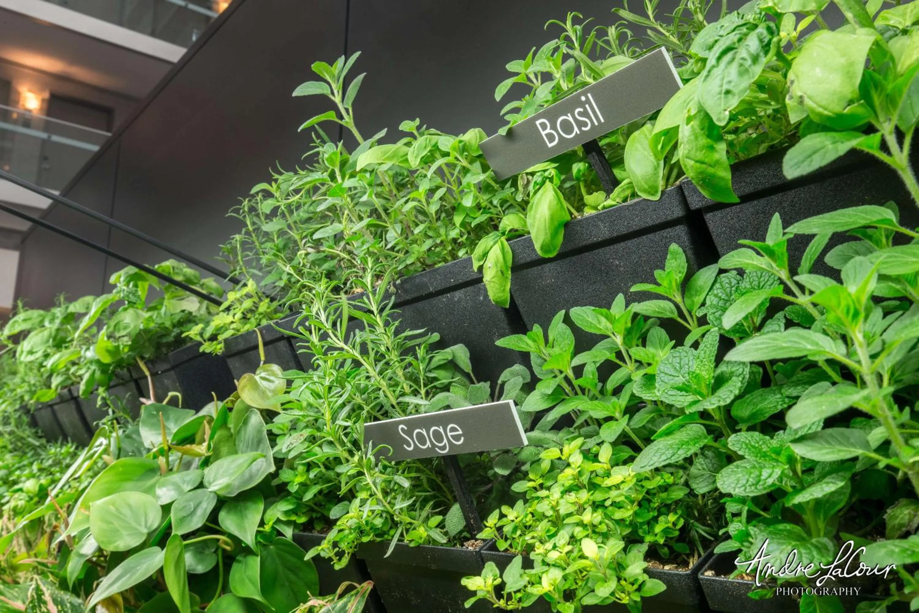 Property building in Embassy Suites by Hilton Chicago Downtown Magnificent Mile