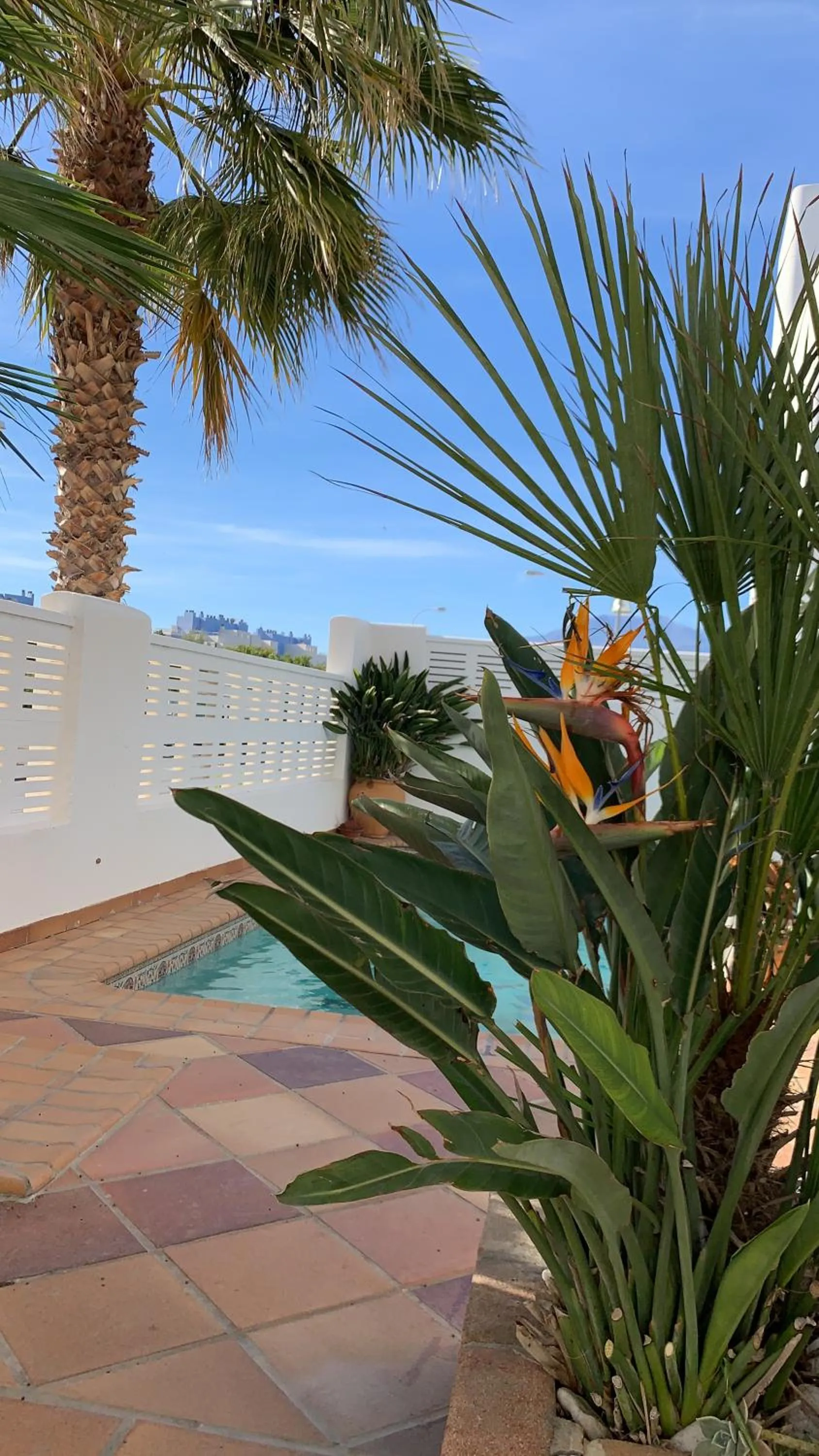 villa cinco palmas