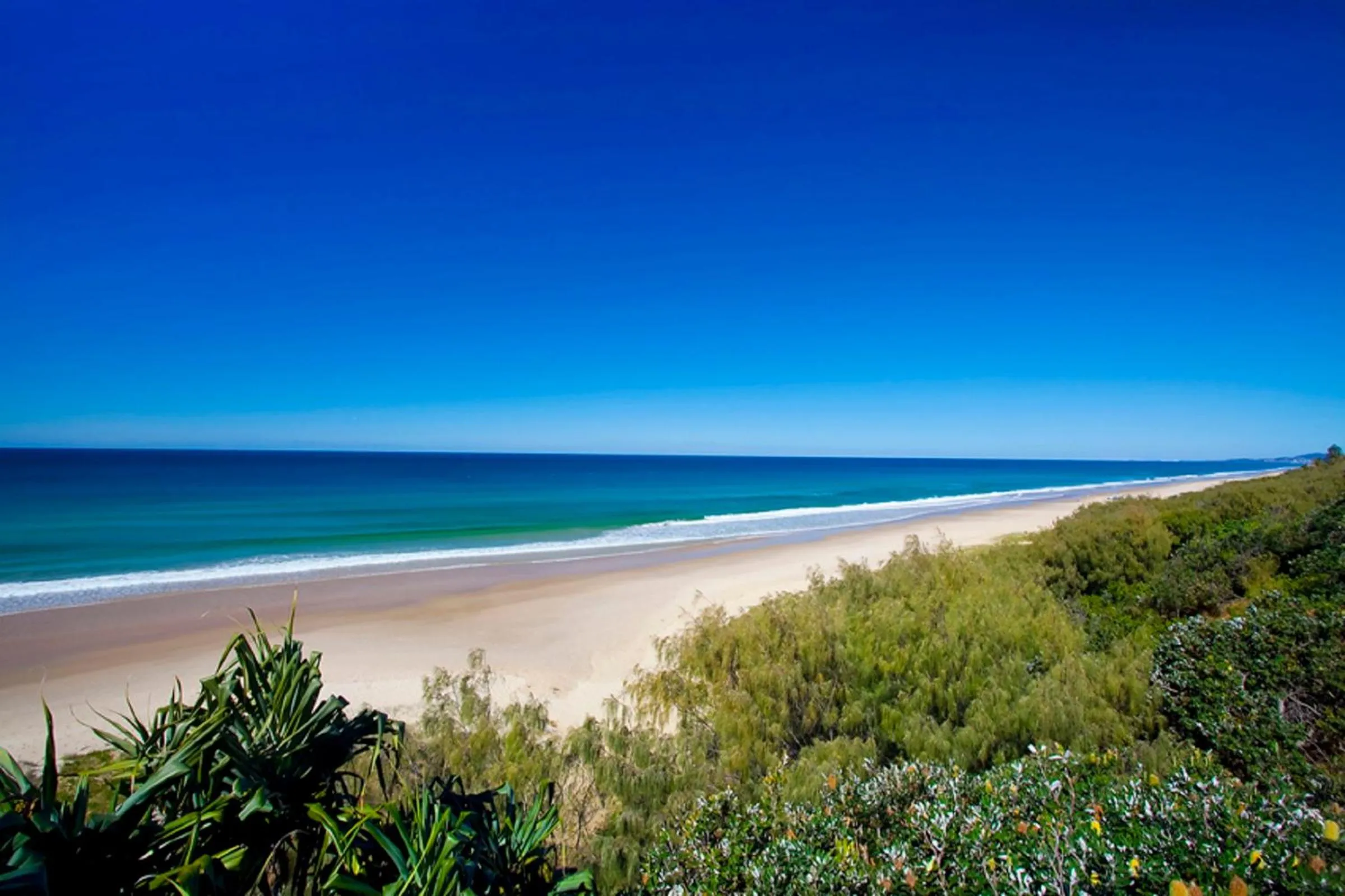 Beach in Beach Breakers Resort