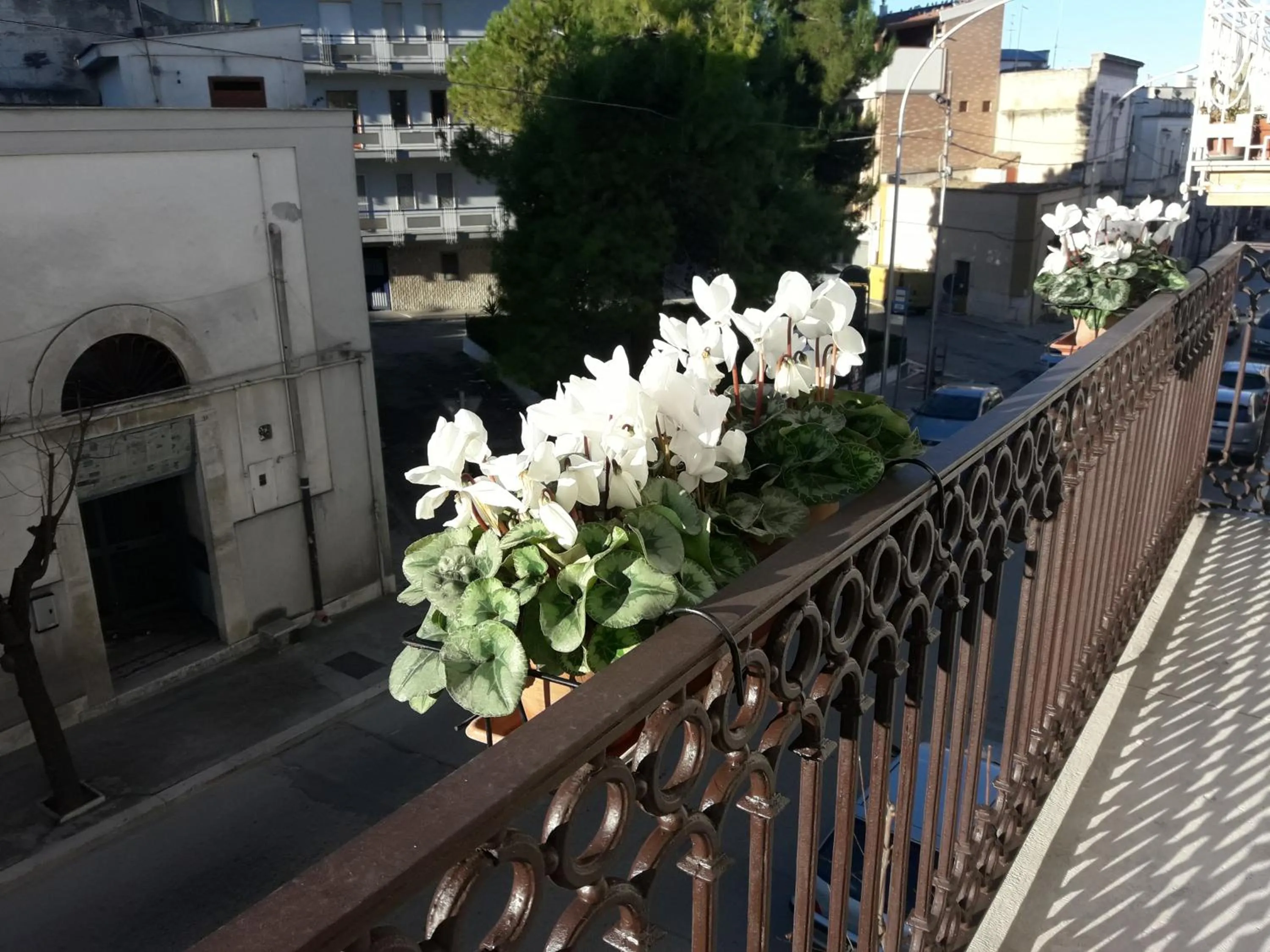 Property building in B&B Saffi