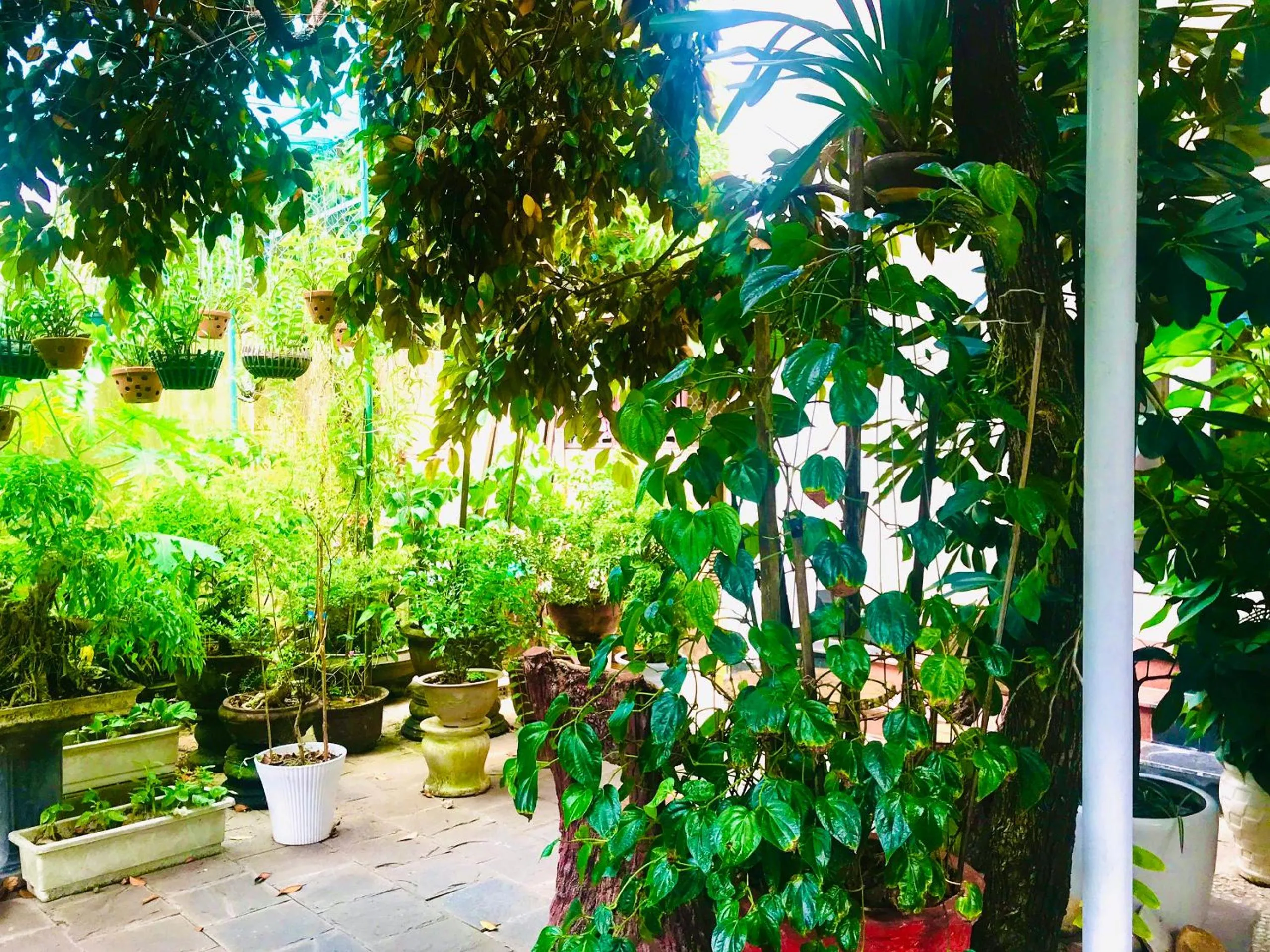 Natural landscape in Pebble Homestay