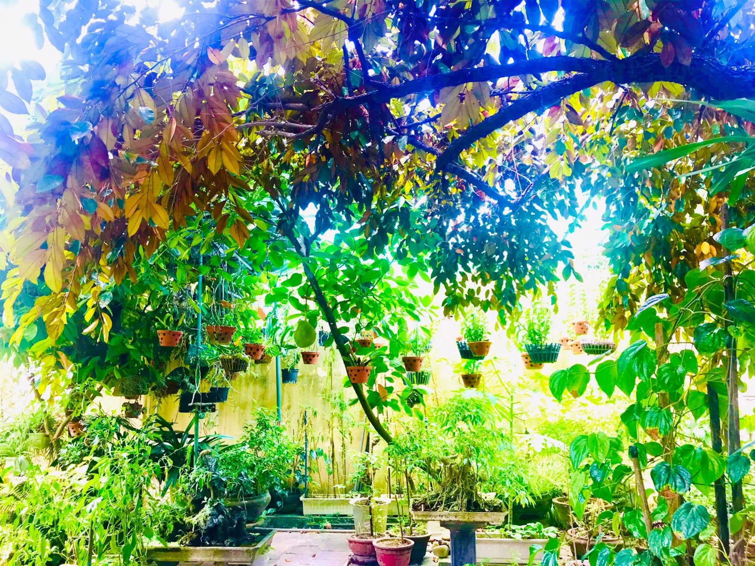 Day in Pebble Homestay