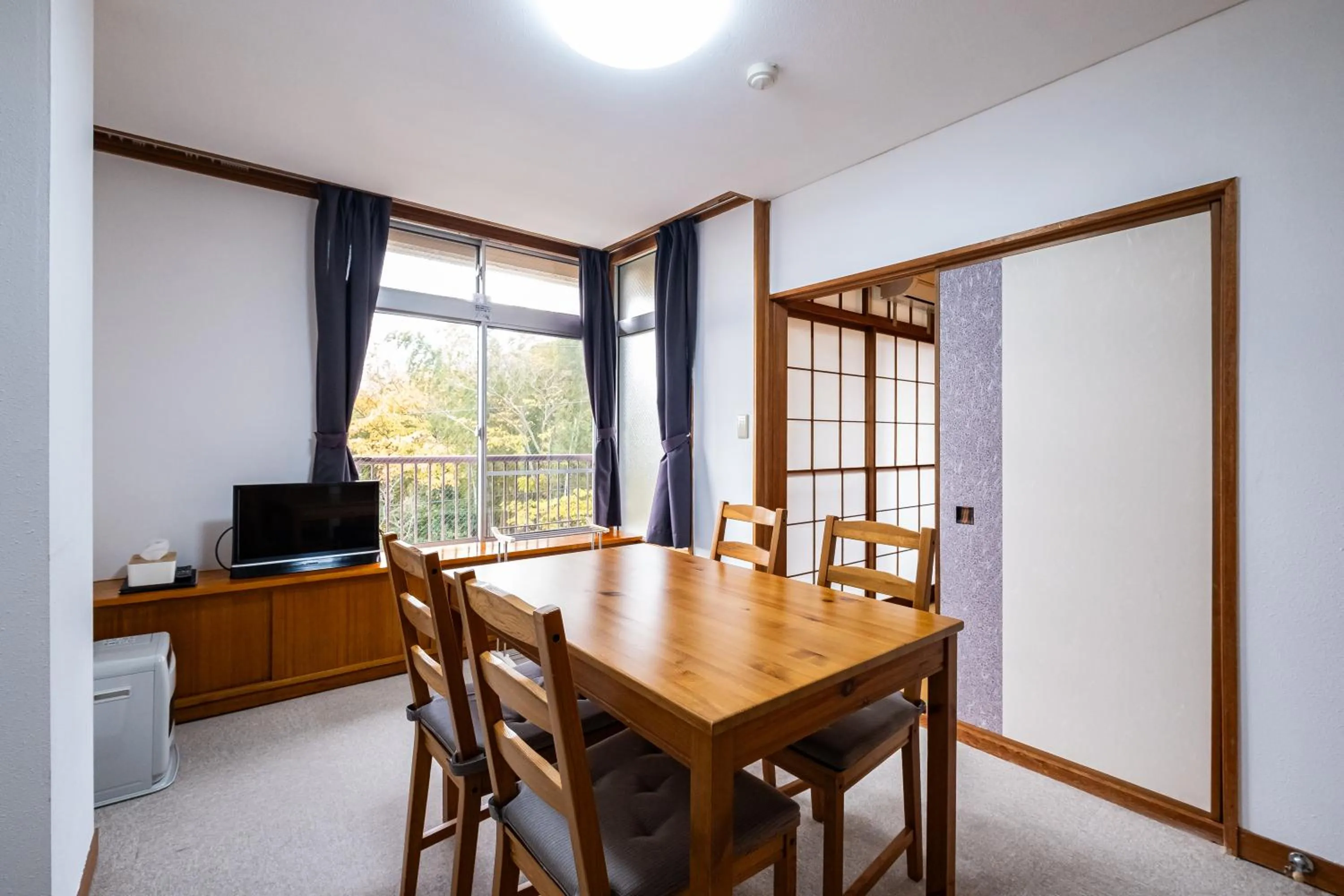 Triple Room with Mountain View - single occupancy in ITO-SPA Guest House YAMATOSO