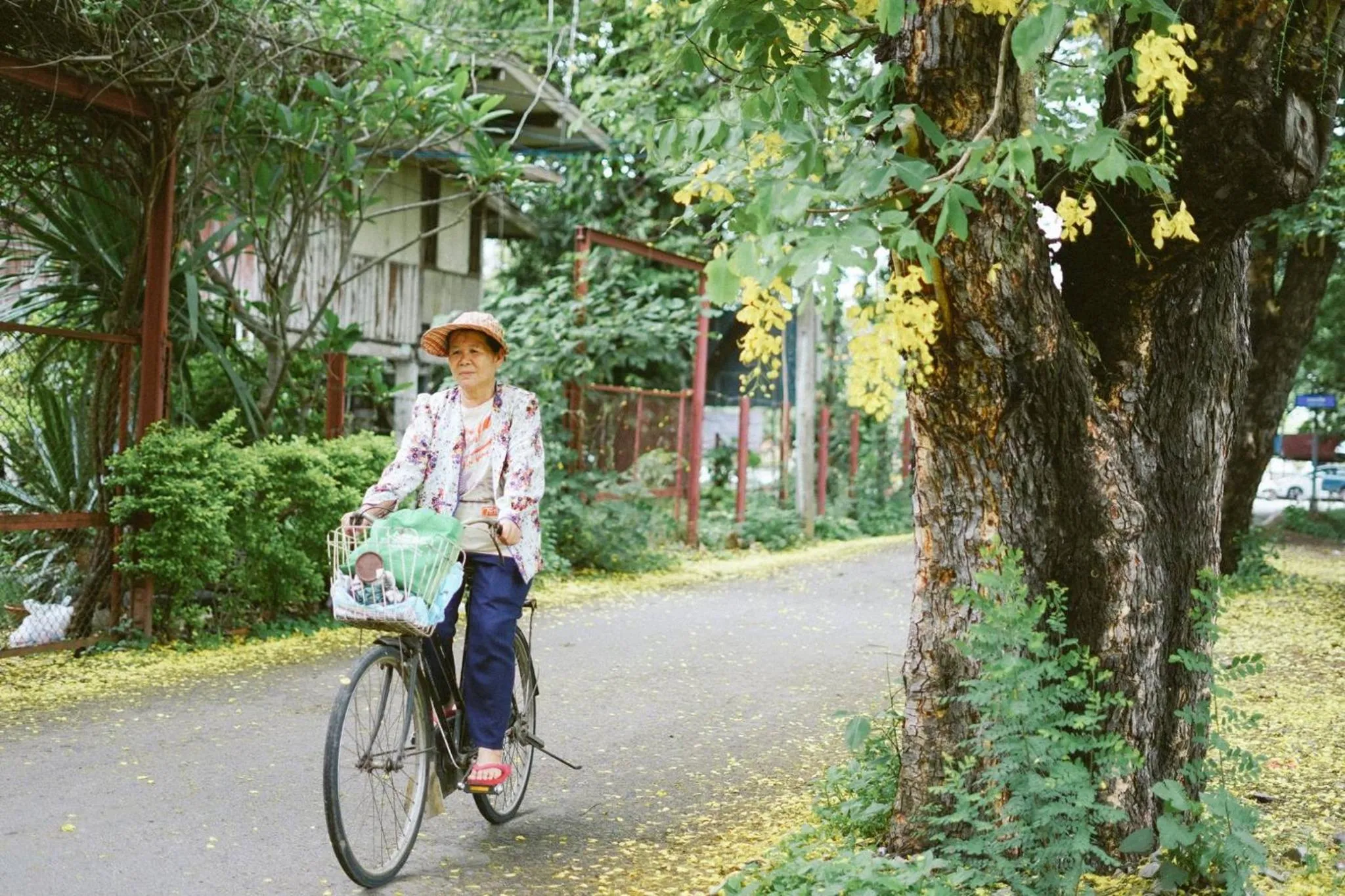 People in Memmoth Hostel In Lampang
