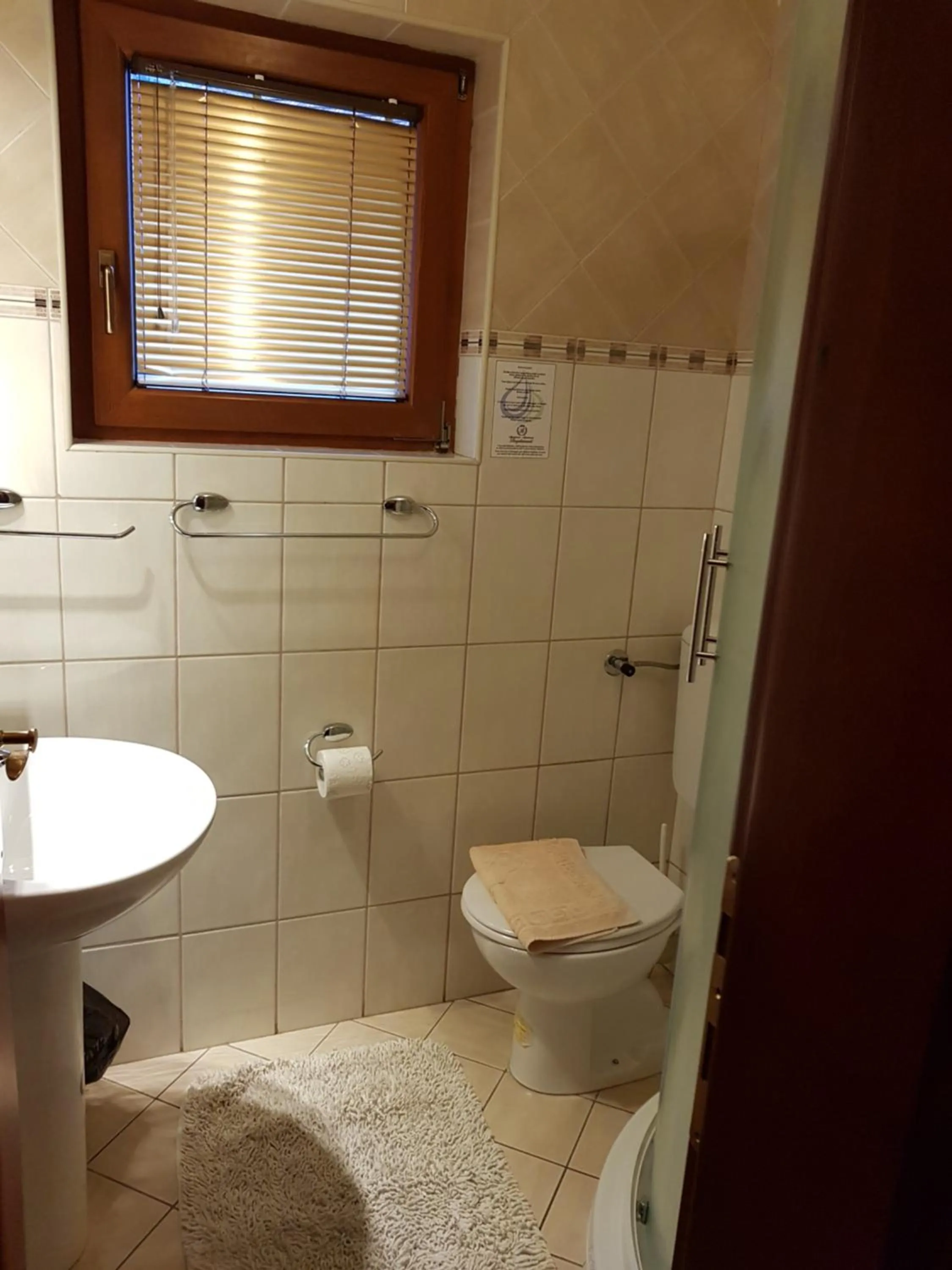 Bathroom in Apartments Bogdanovic