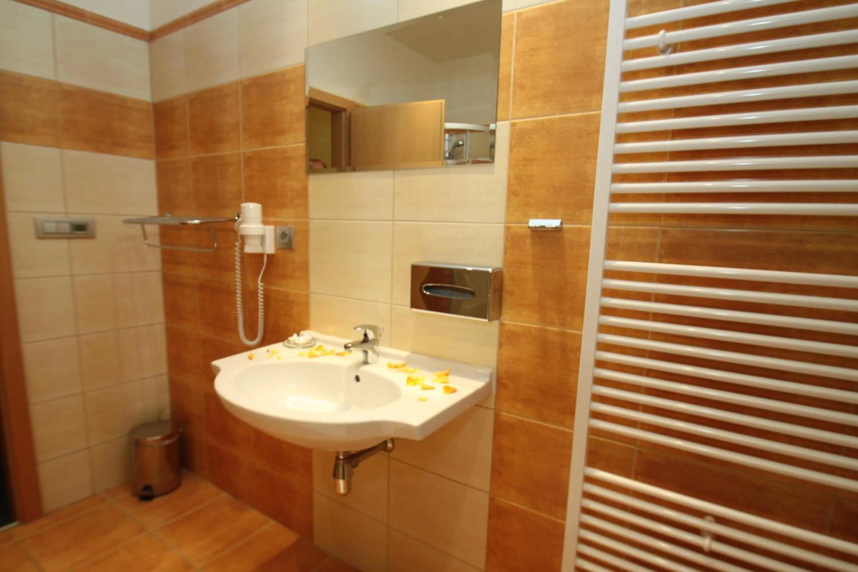 Bathroom in Hotel Slovan