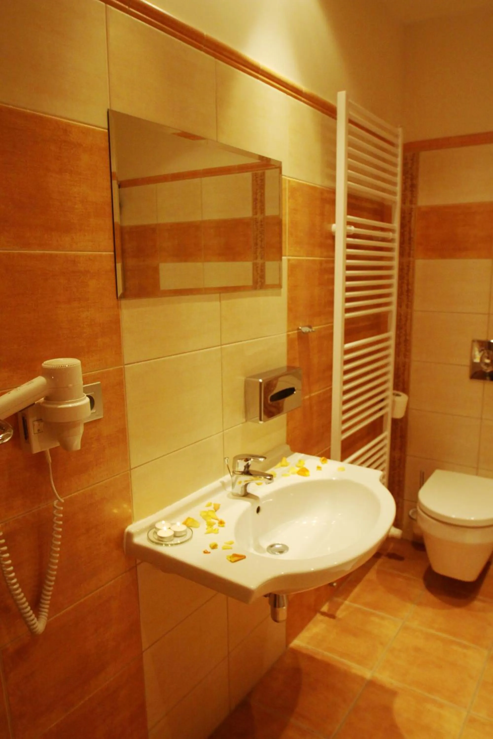 Bathroom in Hotel Slovan