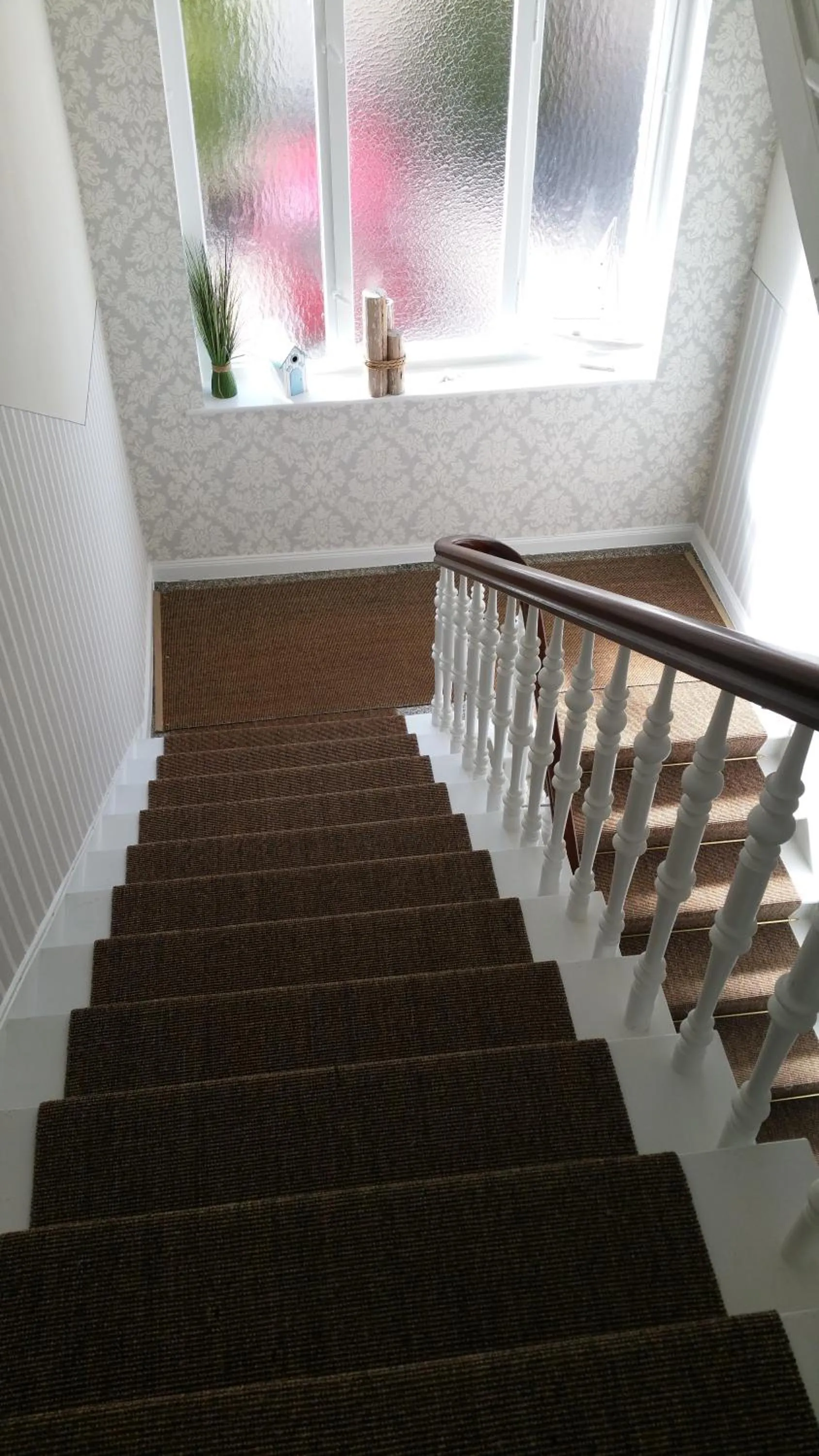 Area and facilities in Hotel An der Altstadt