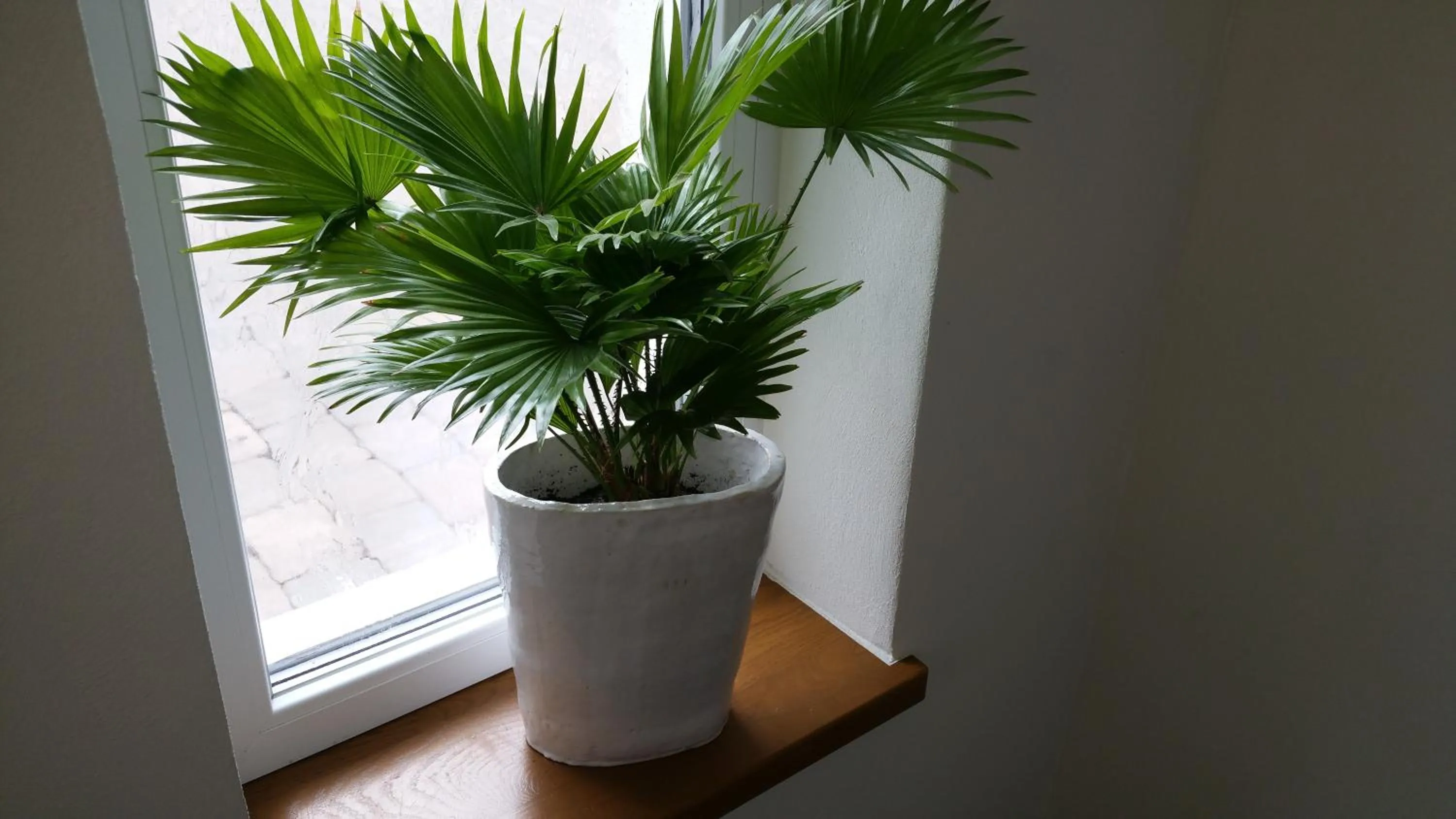 Area and facilities in Hotel An der Altstadt